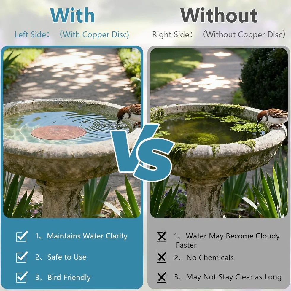 Disque de Purification pour Bain d'oiseaux en Cuivre 99,99% avec Support, pour Extérieur Jardin