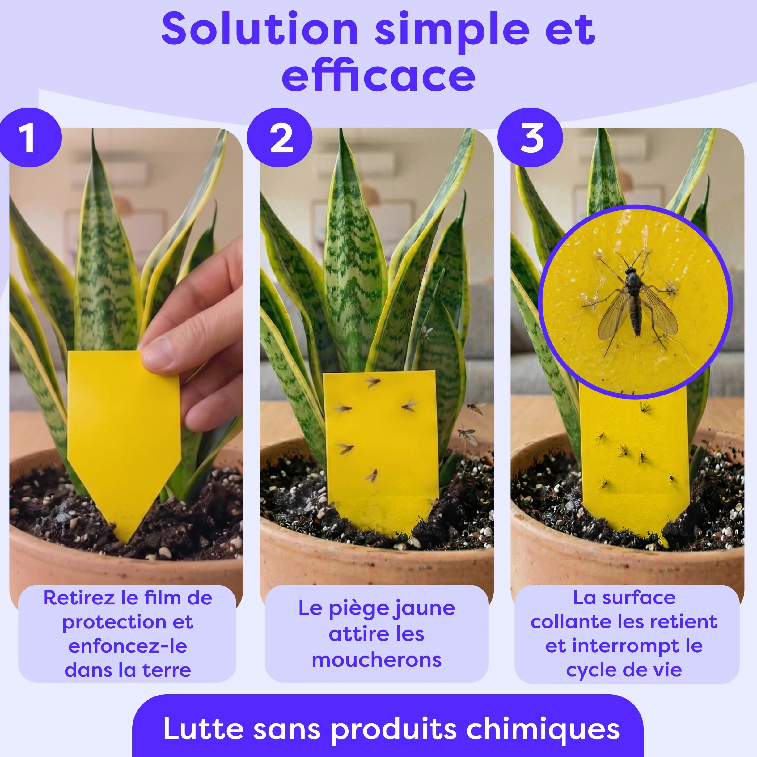 Wolkenfeld Piège à Moucherons Plantes 30 Pièces Stickers Jaunes – Anti Moucherons Interieur, Attrape Moucheron Adhésif Double Face, sans Insecticide – Plantes d’Intérieur & Serre – Made in Germany
