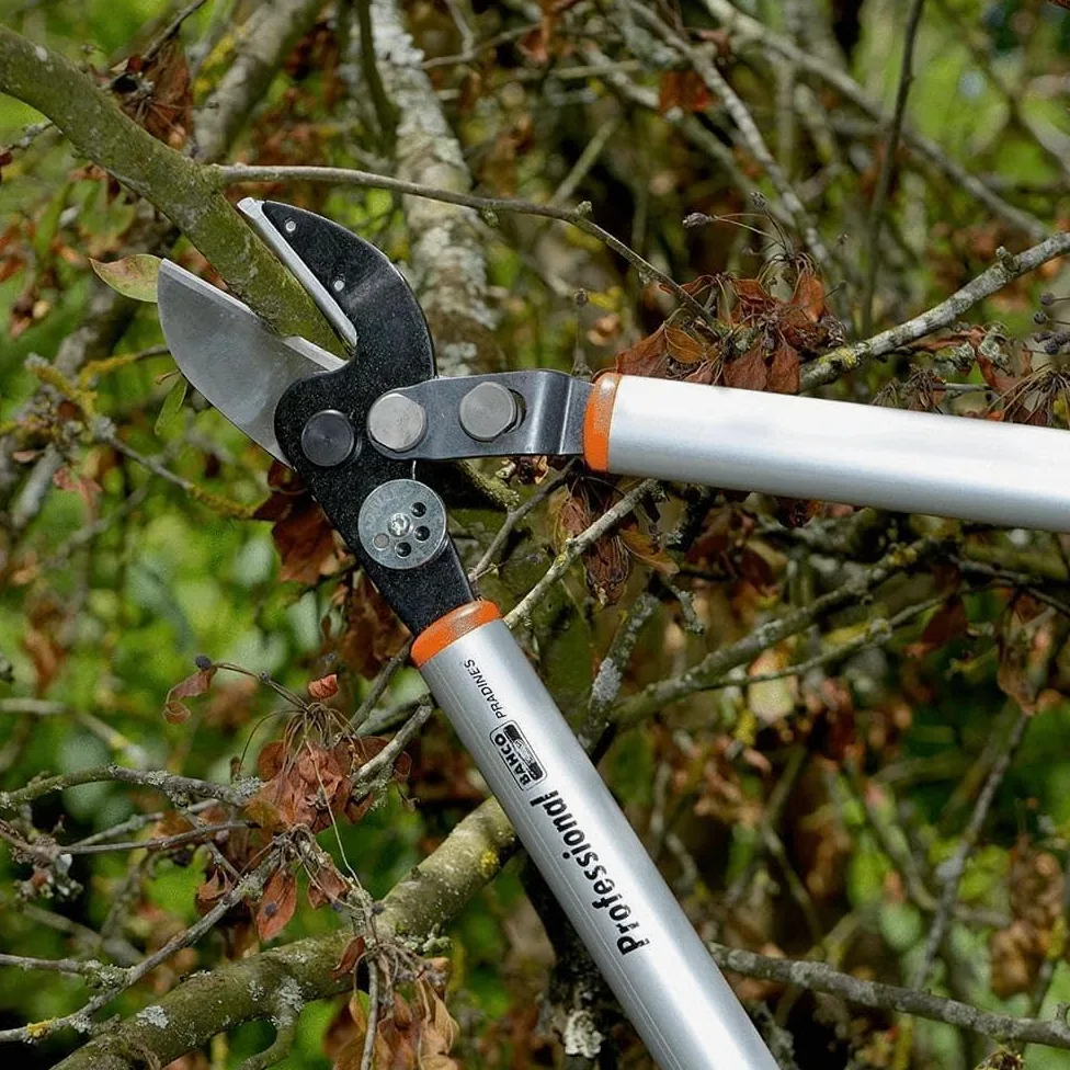 Ebrancheur démultiplié à enclume Bahco P173-SL-85