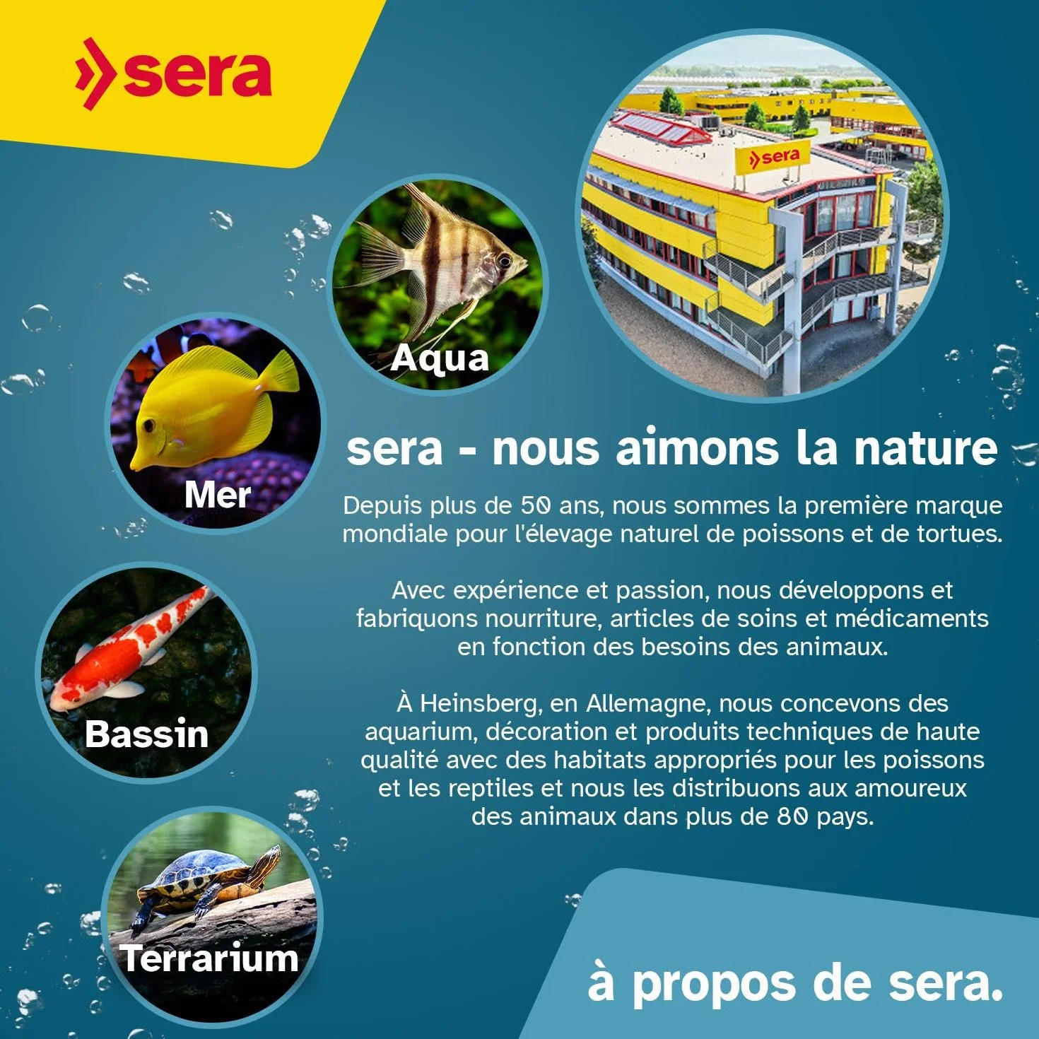 Sera Pond Grand modèle épuisette pour poissons de bassin 220 cm filet 60 x 50 cm manche télescopique