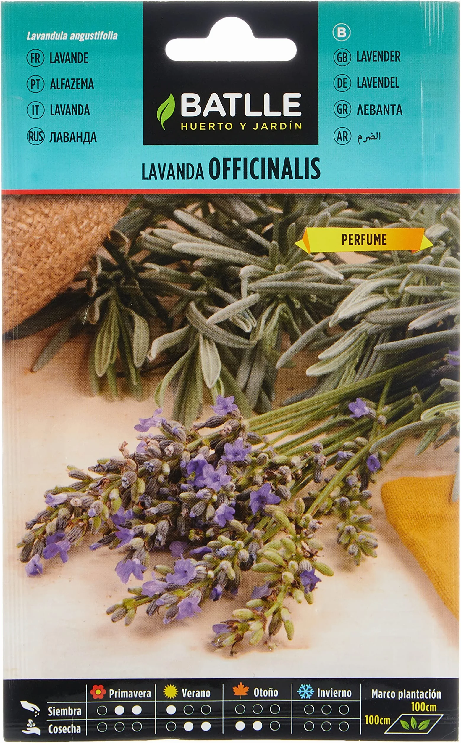 Graines aromatiques de Batlle - Lavande officinale (1g), bleue