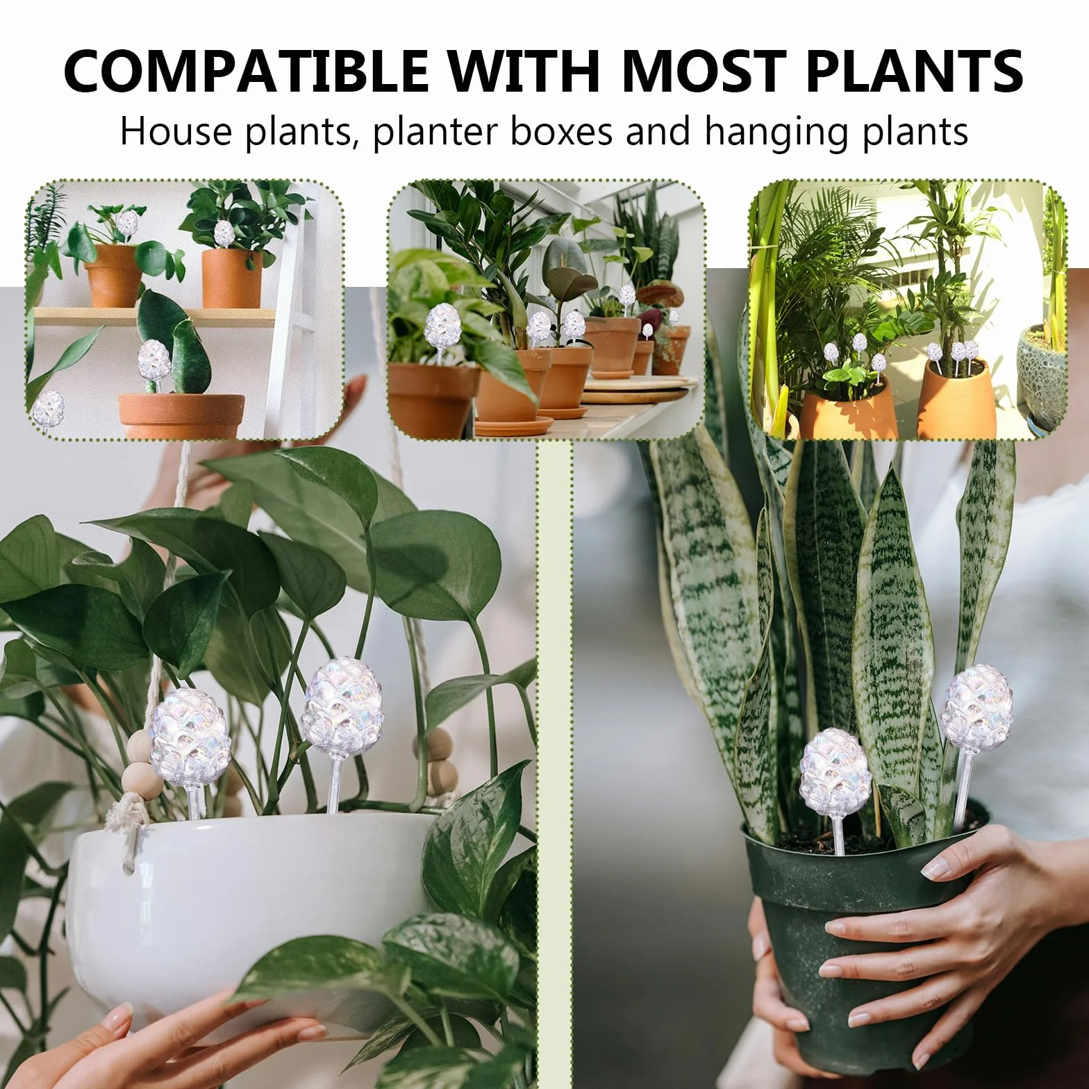 RoseFlower Globes d'arrosage en Verre, Plantes interieu dégradé Arc-en-Ciel à arrosage, système d'arrosage Automatique pour Plantes d'intérieur et d'extérieur, arrosage Plante Interieur