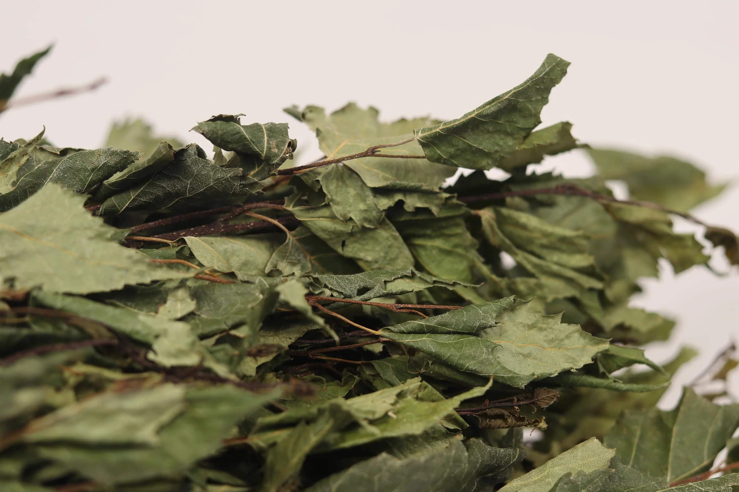 Balai de sauna en bouleau - Expérience authentique avec parfum naturel