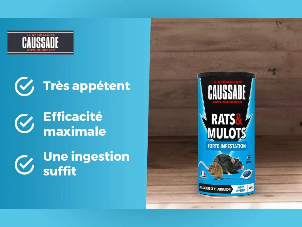Caussade Anti Rats & Mulots - Efficacité Radicale - Lieux secs & humides - 60 sachets Pâtes - prêt à l'emploi - Une Ingestion Suffit – Fabriqué en France - 600g CARMUPT600