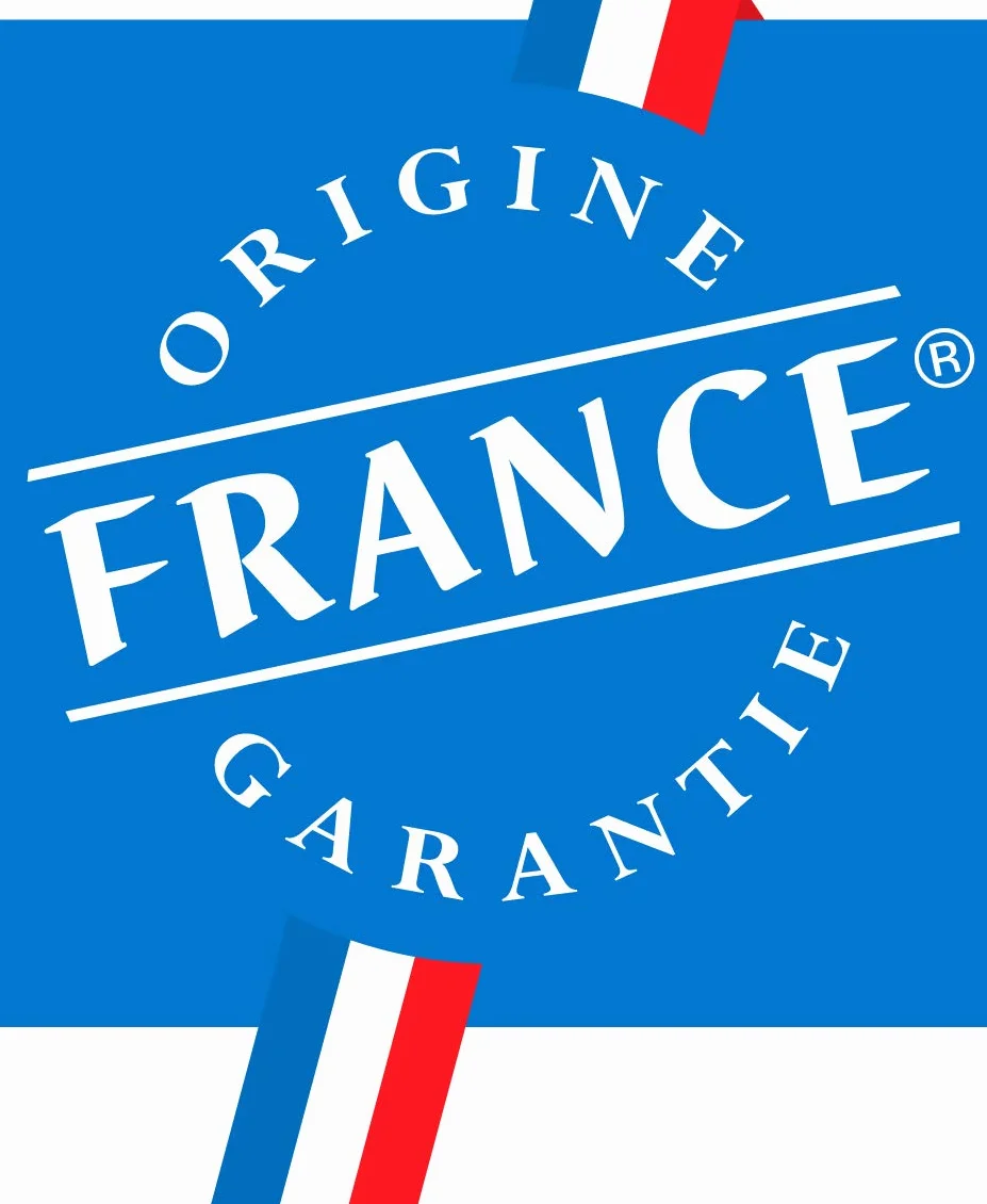 Invicta Poêle à bois en Fonte Carolo Noir 8 kW Surface de Chauffe 40-100 m² Flamme Verte 7 étoiles