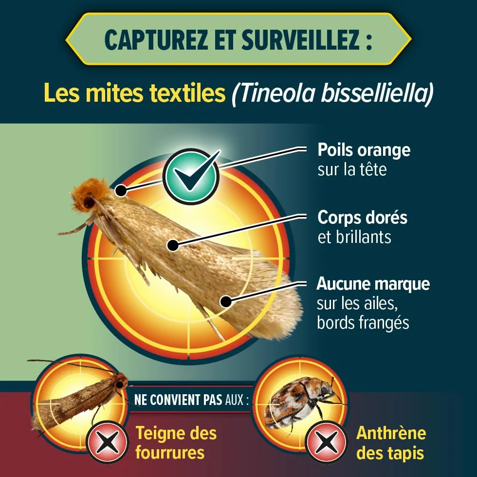 NOPE! Pièges Anti Mites Textiles 3 x 2 – Inodore & Non Toxique – À Base de Phéromones – Protection Efficace pour Vêtements