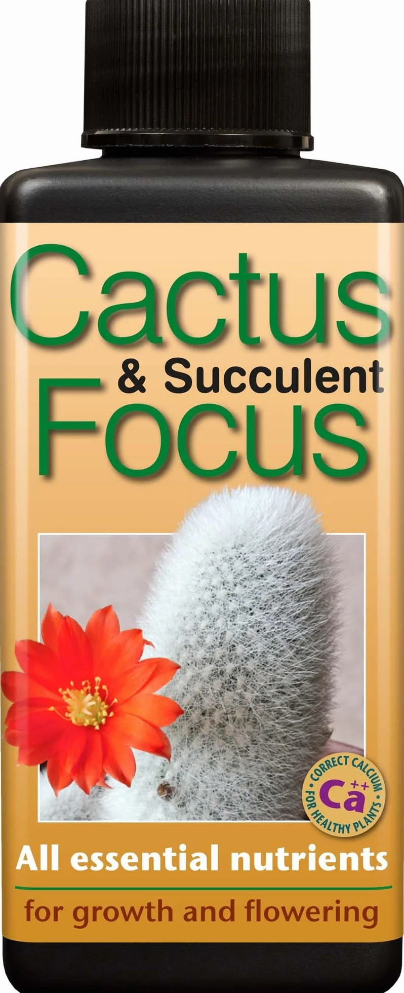 Engrais concentré Liquide Cactus and Succulent Focus 100 ML