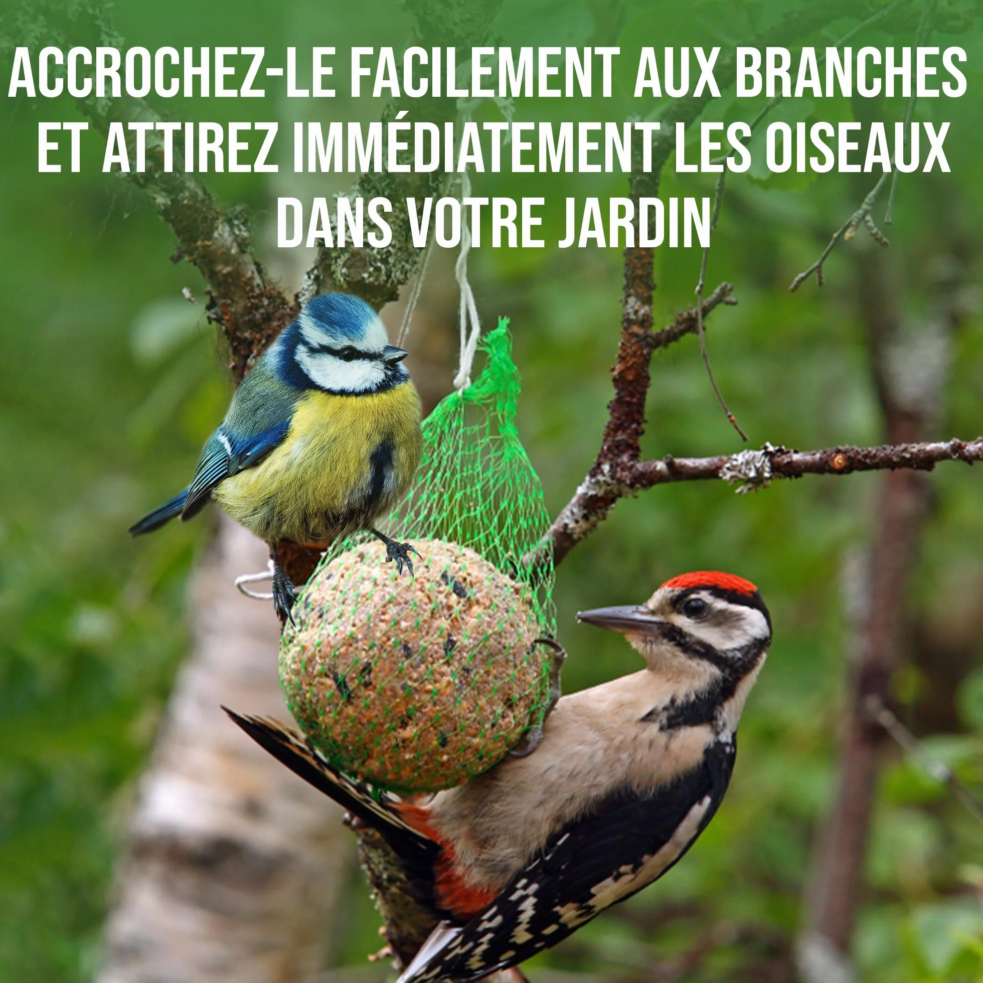 LERAVA Boules de Graisse pour Oiseaux du Jardin 65 pièces Nourriture énergétique Flocons de céréales
