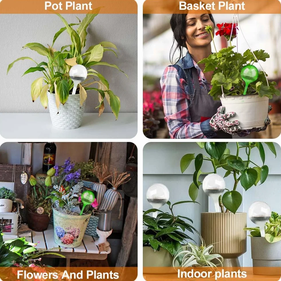 6 Pièces Globes d'arrosage, Boules Automatique Matériel d'Arrosage Automatique en PVC pour Plantes, Globes d’arrosage Plastique Transparent pour Plantes de Jardin Bonsaï Plantes en Pot