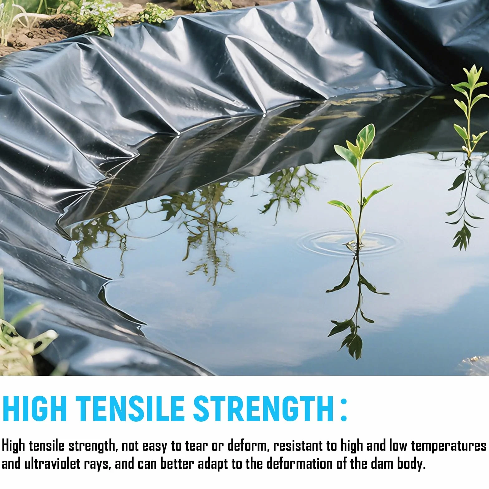 Bâche pour bassin en polyéthylène haute densité 2 x 2 m imperméable résistant aux intempéries noir