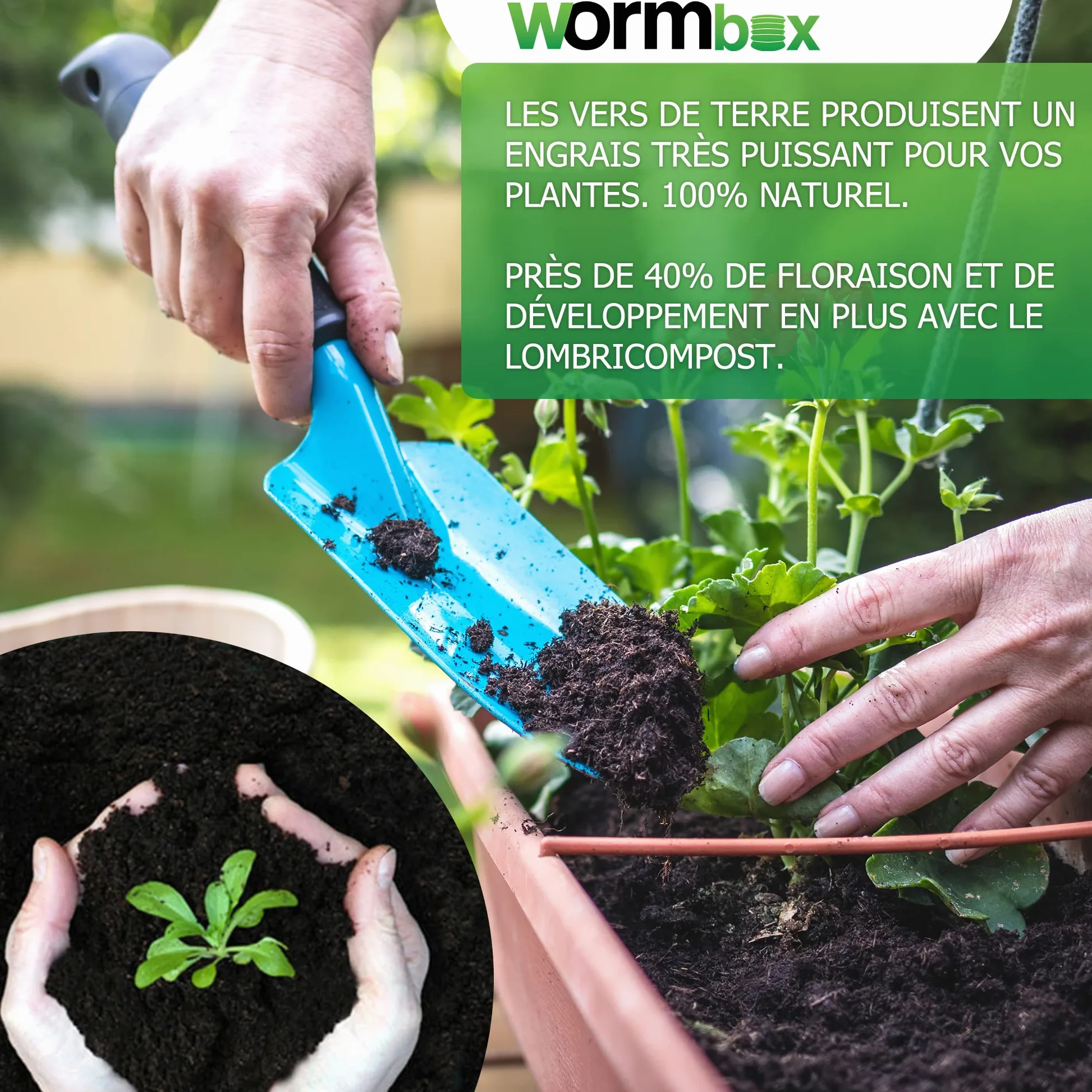 WORMbox | Lombricomposteur 4 Plateaux Noir + 500gr de vers de Compost + 1 Bloc Coco | 64 litres | Compostez Vos déchets organiques, Les vers de Terre/lombrics produisent du lombricompost