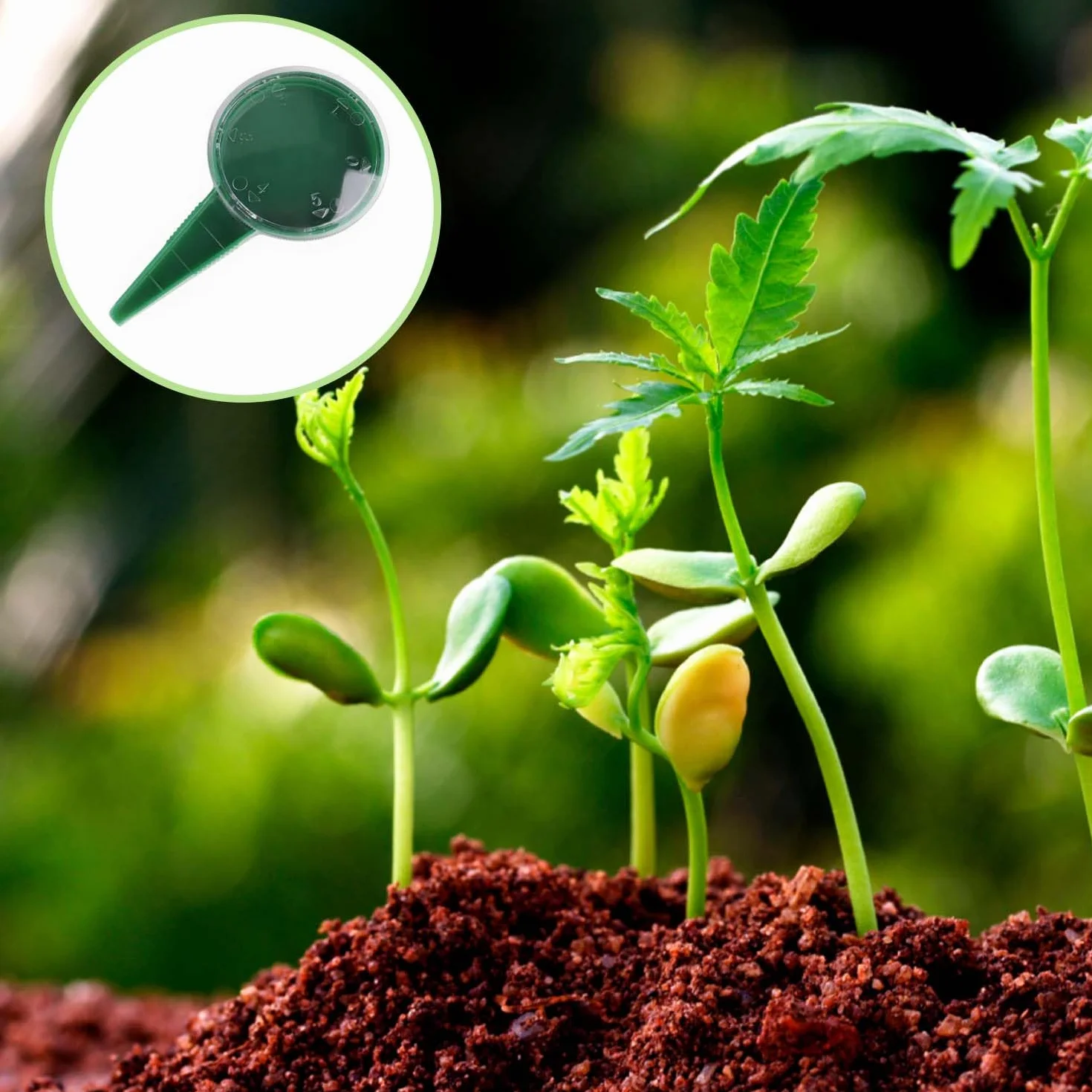 2 Pièces Distributeur de Graines, Distributeur de Graines de Plantes de Jardin, Distributeur de Graines de Pot de Fleur, pour Semer Facilement des Fleurs et des Légumes du Jardin