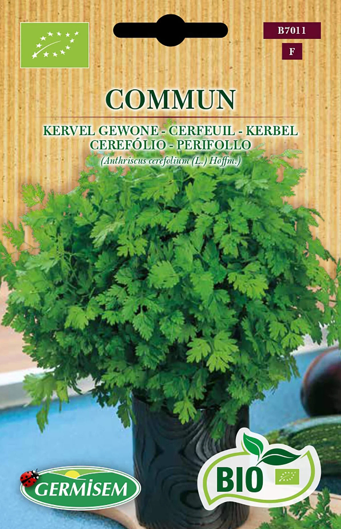 Germisem Bio Graines Cerfeuil COMMUM