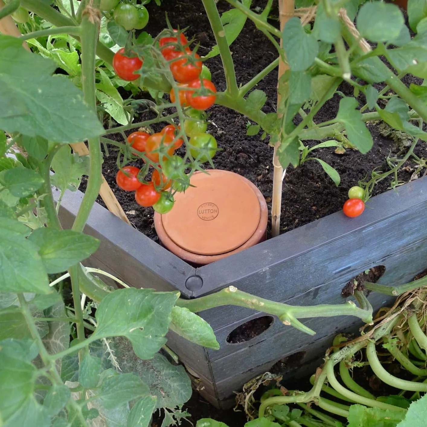 Duo Ollas Tube 2L en Terre Cuite – Fabrication Française – Arrosage Autonome Écologique pour Potager, Jardin et Plantes – Irrigation Naturelle Jusqu’à 5 Jours