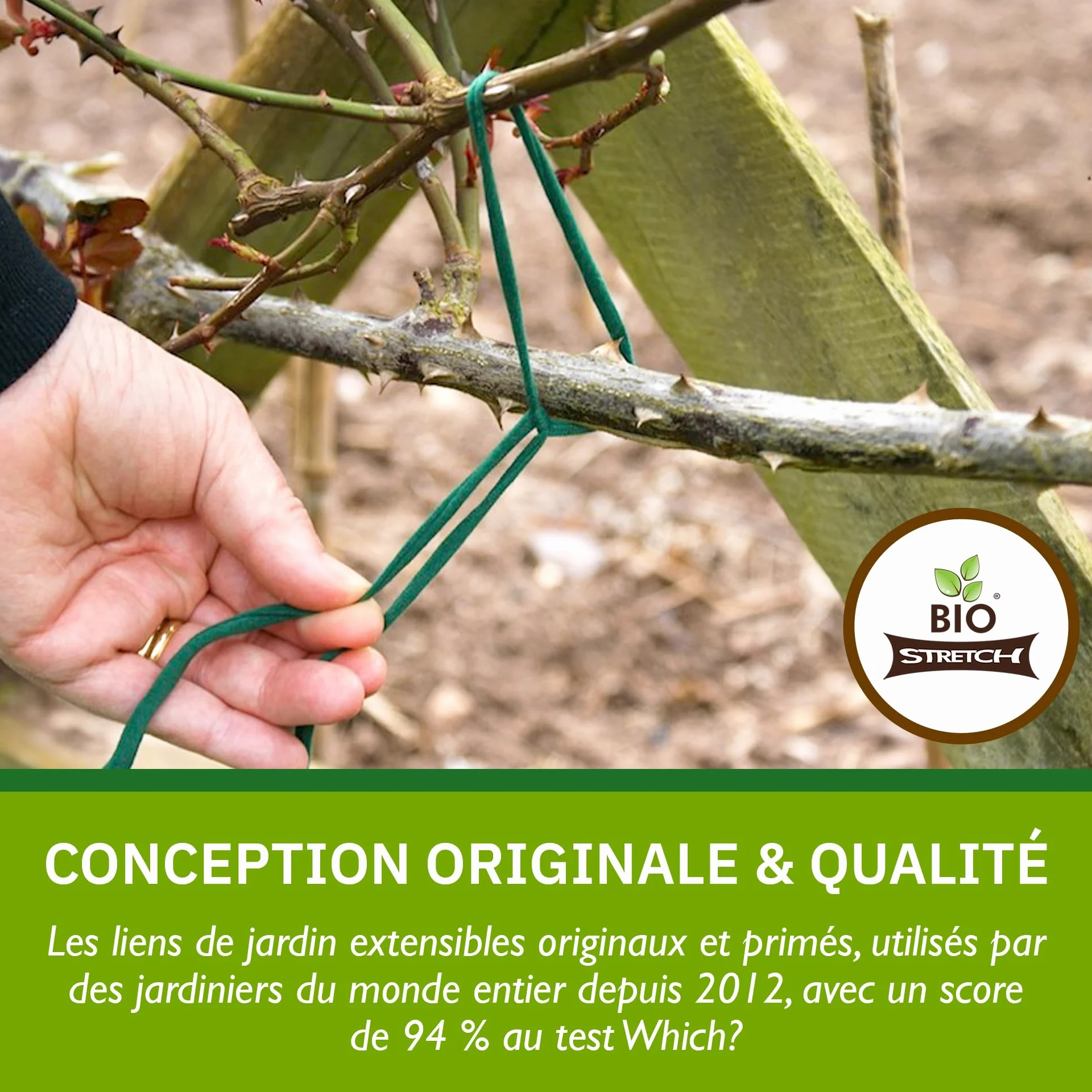 Bio-Stretch Liens de Jardin Souples pour Plantes d’Intérieur et d’Extérieur – Résistants et Extensibles, Ficelle Découpable pour Plantes Grimpantes, Tomates et Jardinage à Domicile (40m / Vert)