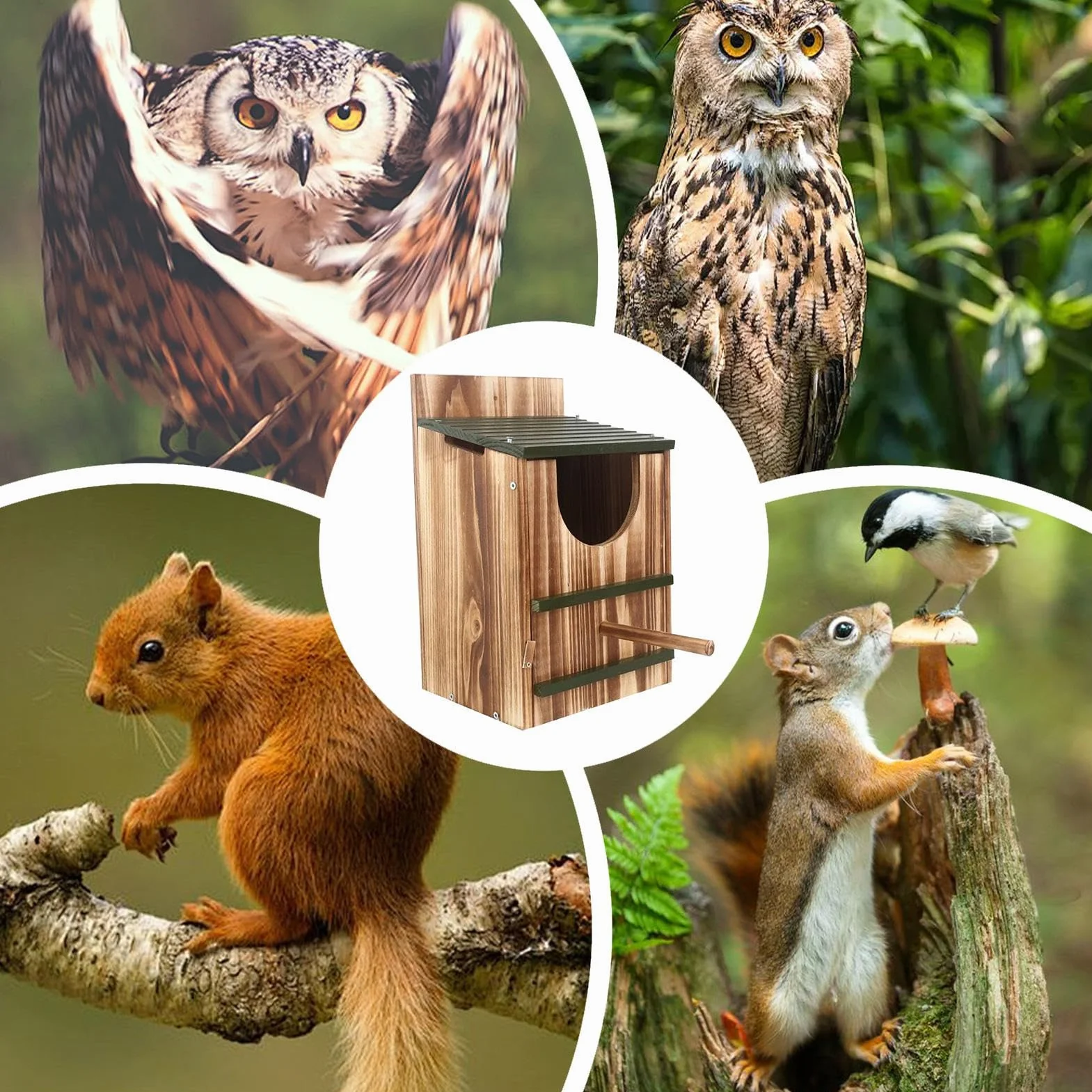 Niche pour écureuils en bois carbonisé 14,5 x 12 x 8,6 pouces, habitat extérieur durable