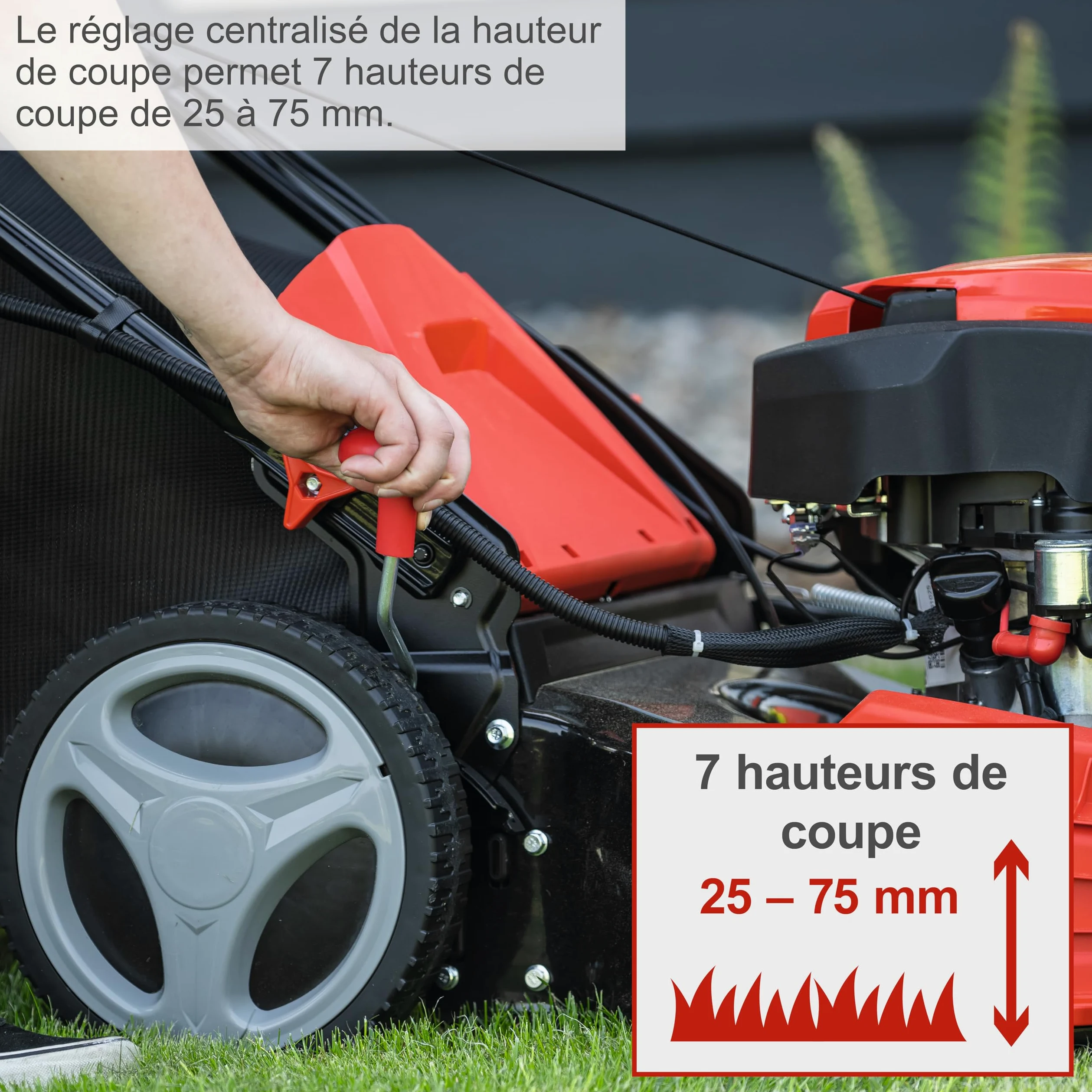 Scheppach Tondeuse à Gazon Hybride MS225-53E – Moteur 4 Temps 224 cm3 / 6 CV – 4400 W – Largeur de Coupe 53 cm – Démarrage électrique – Bac 65 L – Batterie 2Ah + Chargeur Inclus