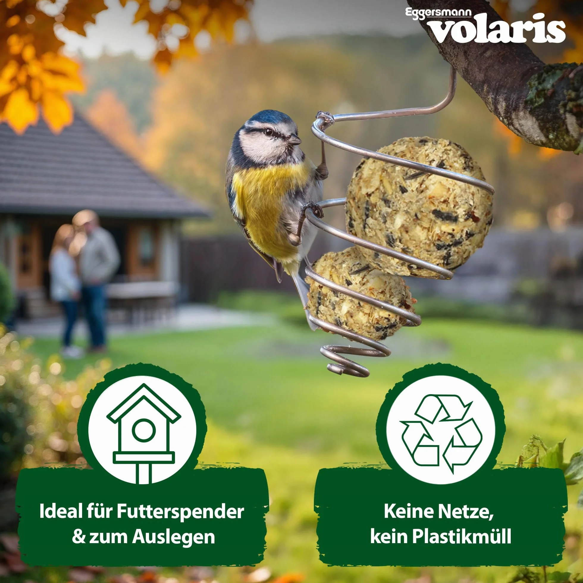 Eggersmann Volaris Lot de 100 boules de graisse pour oiseaux sauvages