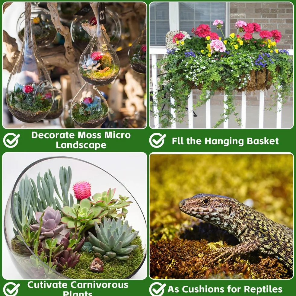 OFFCUP 500g Sphaigne pour Plante, Sphaigne Fraîche Compressée pour Orchidées Mélange Pot, Mousse Naturelle pour Reptiles, Tuteur en Sphaignes Substrat de Culture Naturel (500g)