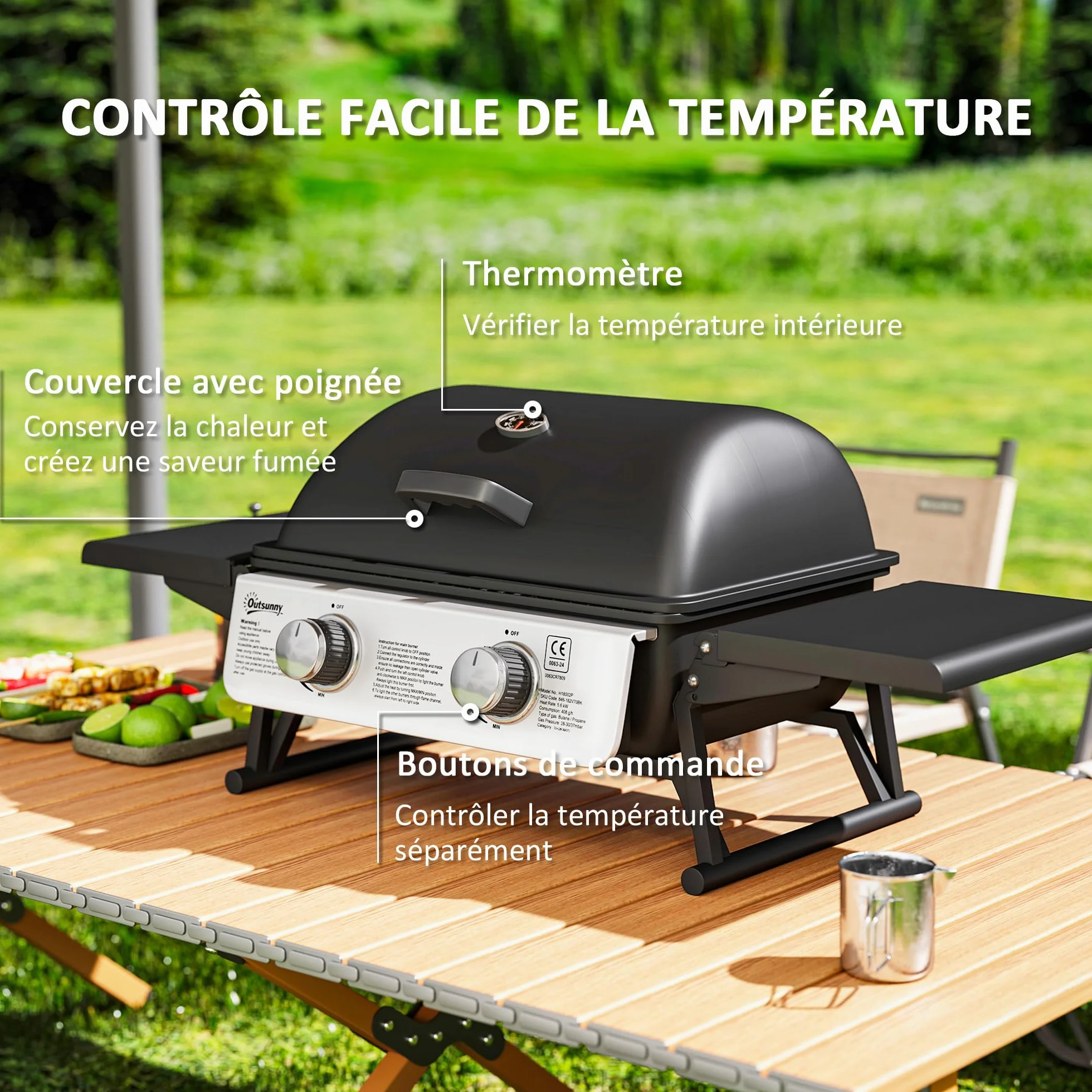 Outsunny Barbecue gaz de table transportable 2 brûleurs 5,6 kW avec grille de cuisson noir