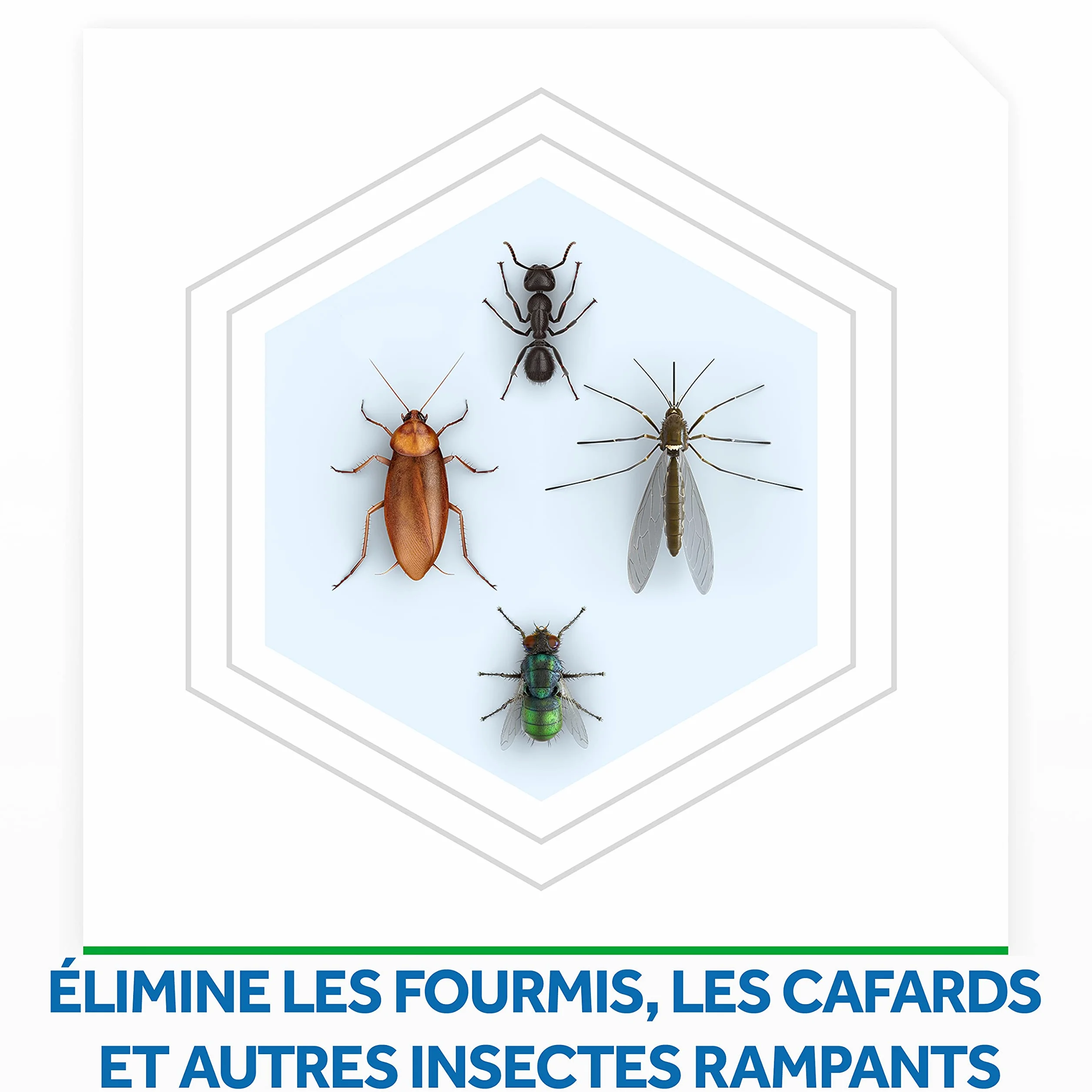 Raid Max Poudre Anti-Cafards et Anti-Fourmis Protection Continue 12 Semaines