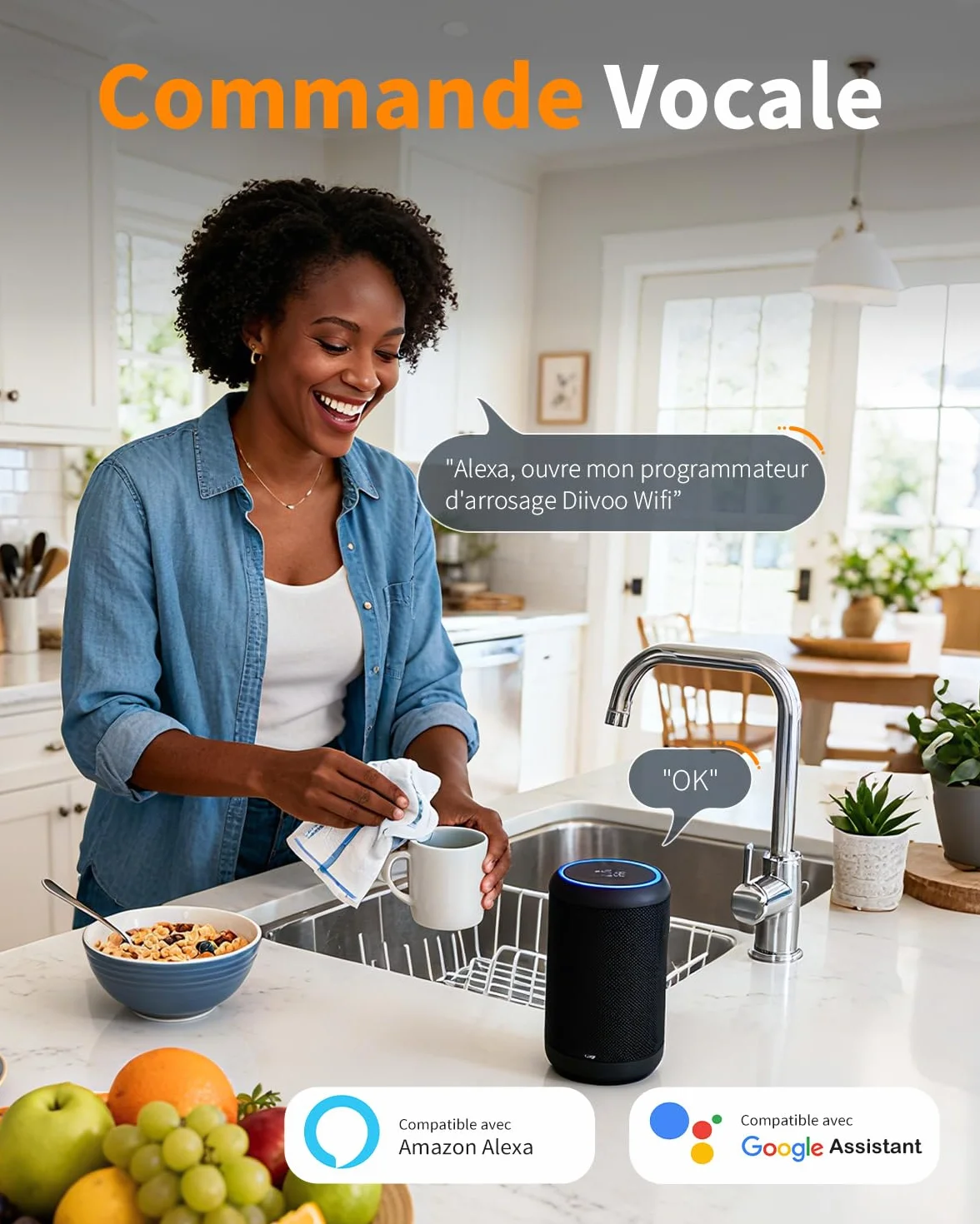 Diivoo Programmateur Arrosage WiFi 2 Zones Laiton Compatible Alexa Jardin Pelouse