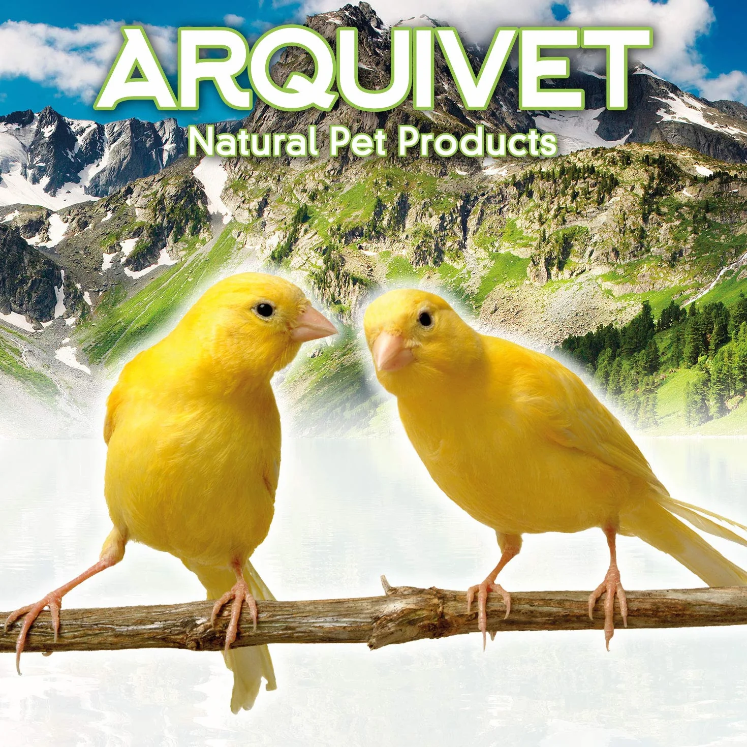 ARQUIVET Nid bois perroquets Maison oiseaux 20 x 11 x 10 cm