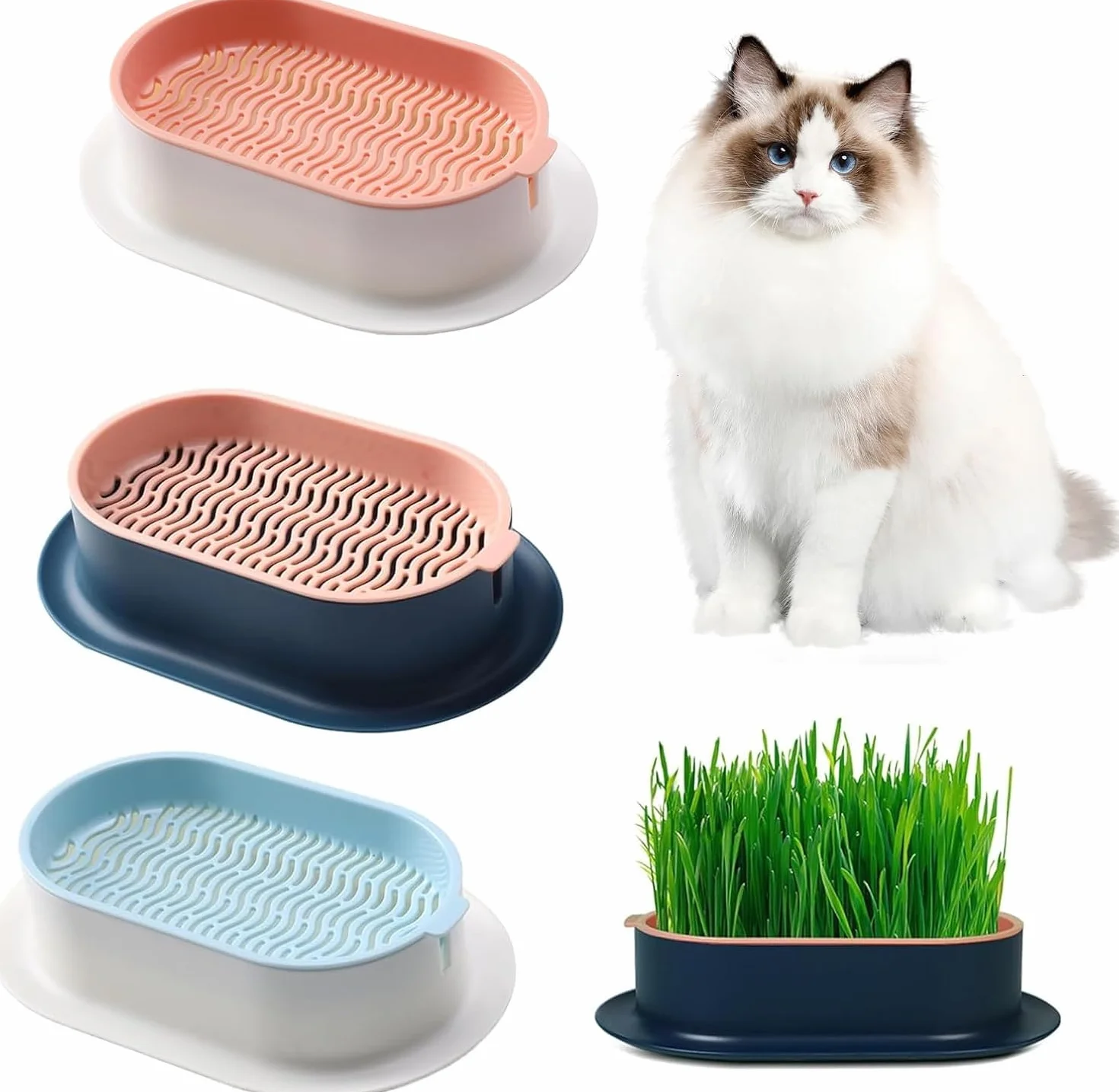 3 Plateaux de Plantation pour Herbe à Chat, germoir sans Terre pour Herbe à Chat, conteneur de Plantation pour Herbe à cha pour Chats d'intérieur