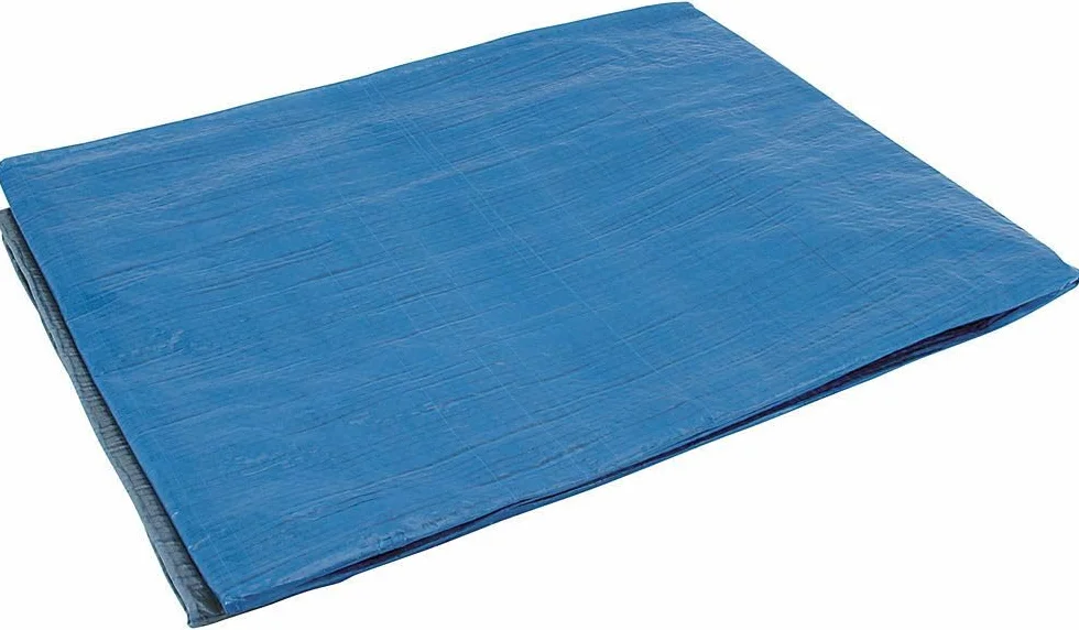 COGEX 82003 Bâche de Protection 2 x 3 m Bleu Imperméable Polyéthylène Tramé Œillets Bords Ourlés