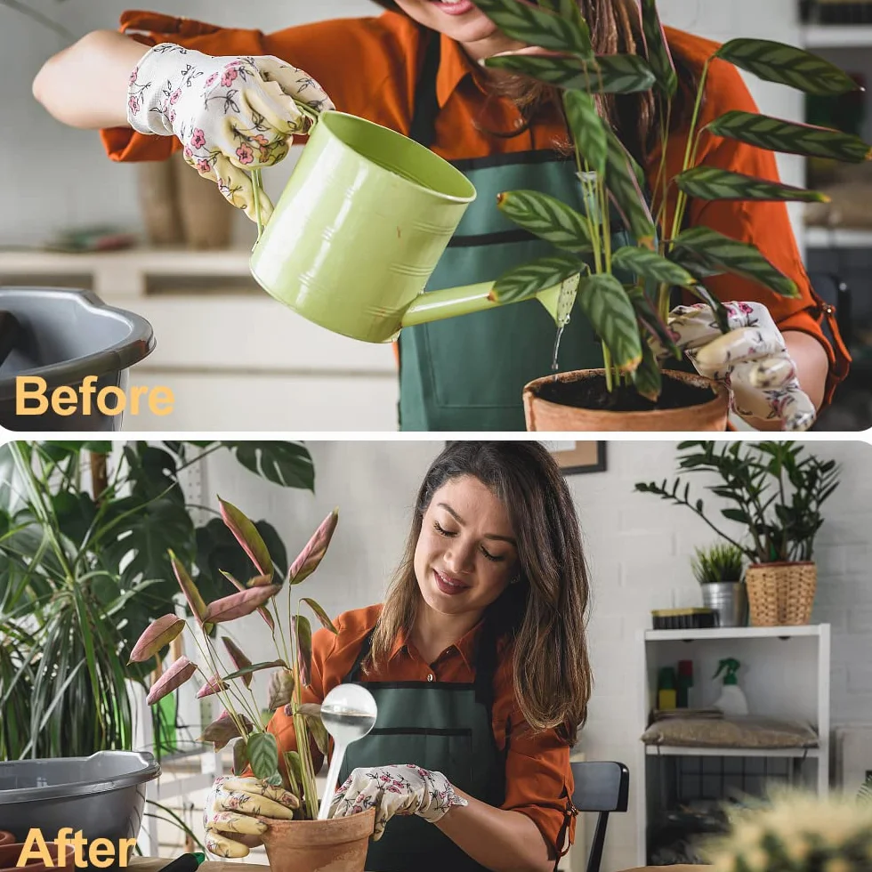 mizikuu Globe d'arrosage, 6 Pièces Système d'arrosage pour Plantes d'Intérieur Lobe Arrosage Plante Dispositif d'Arrosage Automatique pour Plante Interieur Fleurs Jardin en Pot