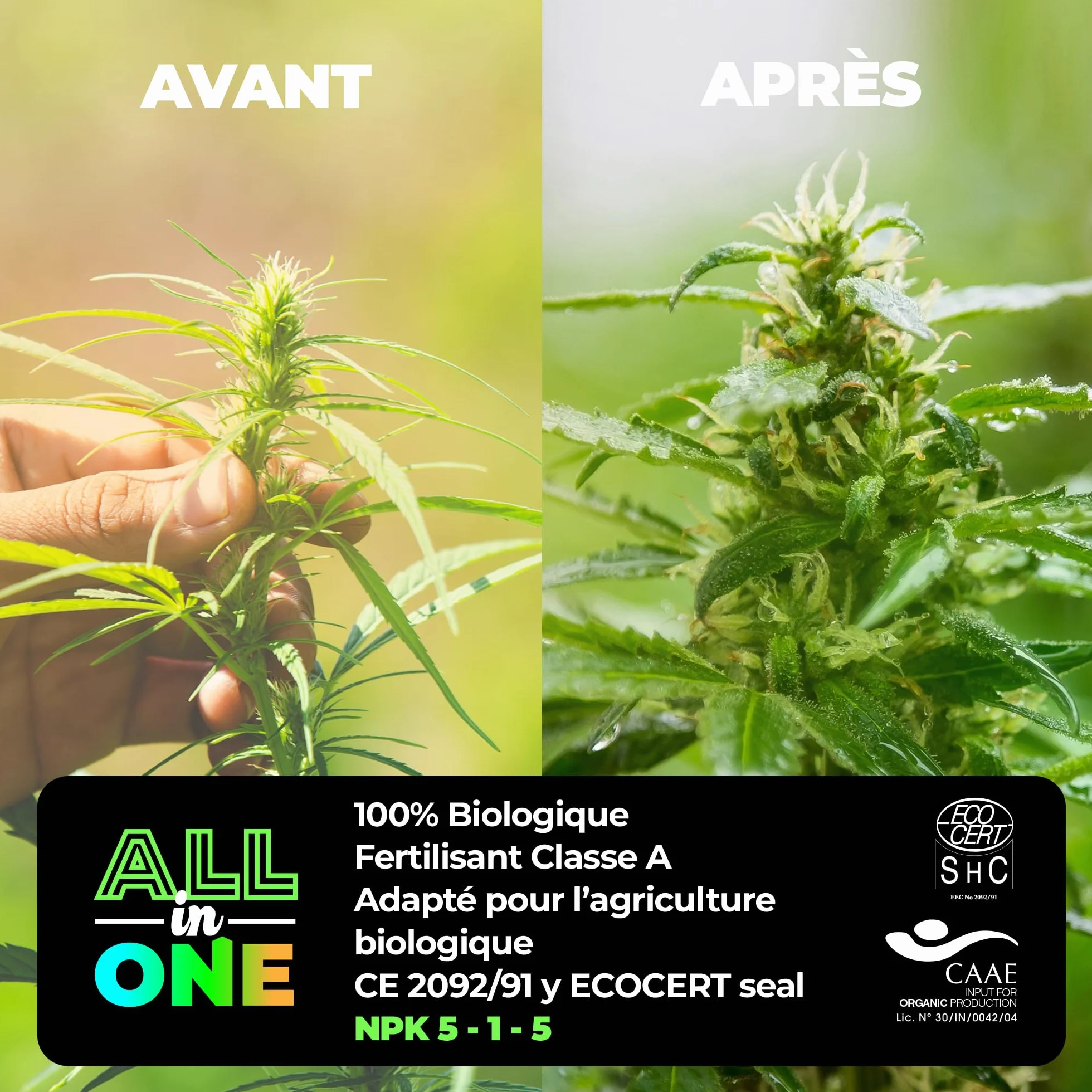 UP NUTRIENTS Fertiliser de cannabis pour intérieur et extérieur, ensemble NPK 5-1-5, pour plantes de cannabis, phase de croissance et de floraison, phase biologique Grow & Bloom