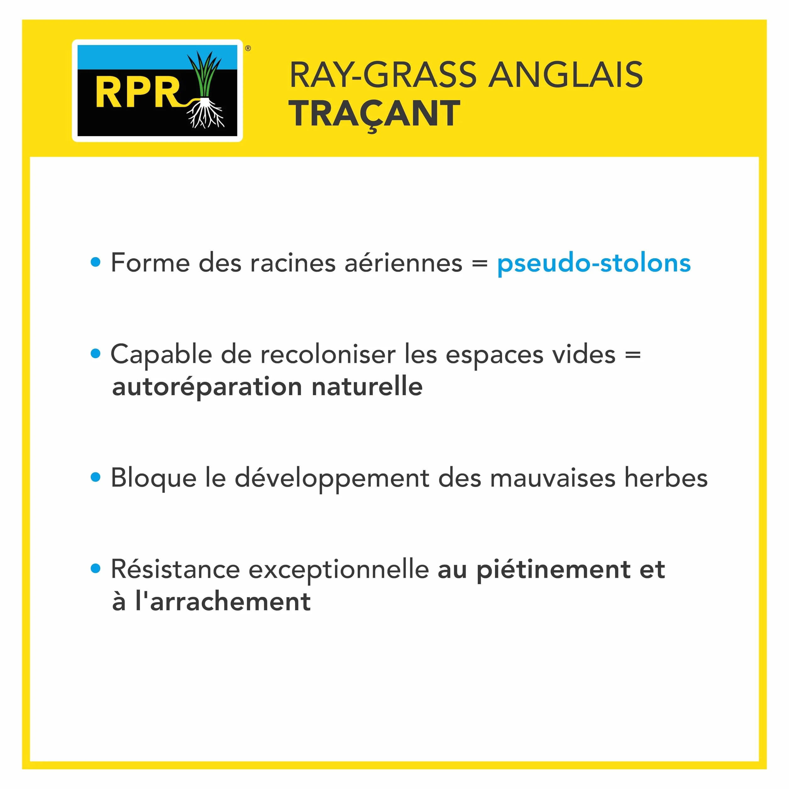 Barenbrug Gazon Ombre et Soleil 3KG Performant Conditions Ombragées Adapté Zones Ensoleillées Fin Dense