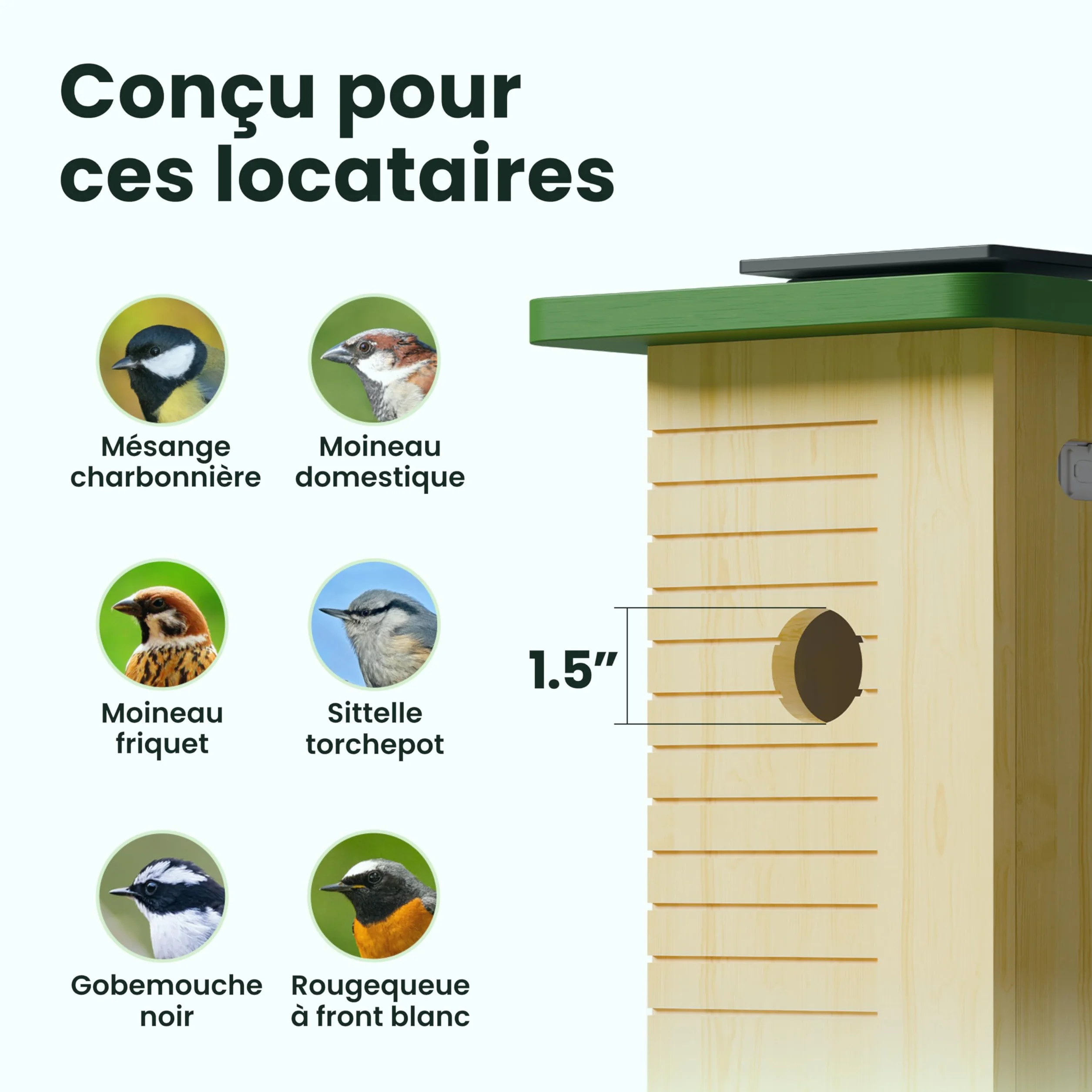 Birdfy Nichoir Oiseaux Exterieur, Camera Nichoir avec Panneau Solaire, 1080P HD Vidéo en Direct & Vision Nocturne pour Nidification 24/7, Détection Auto, Notification & Identification IA