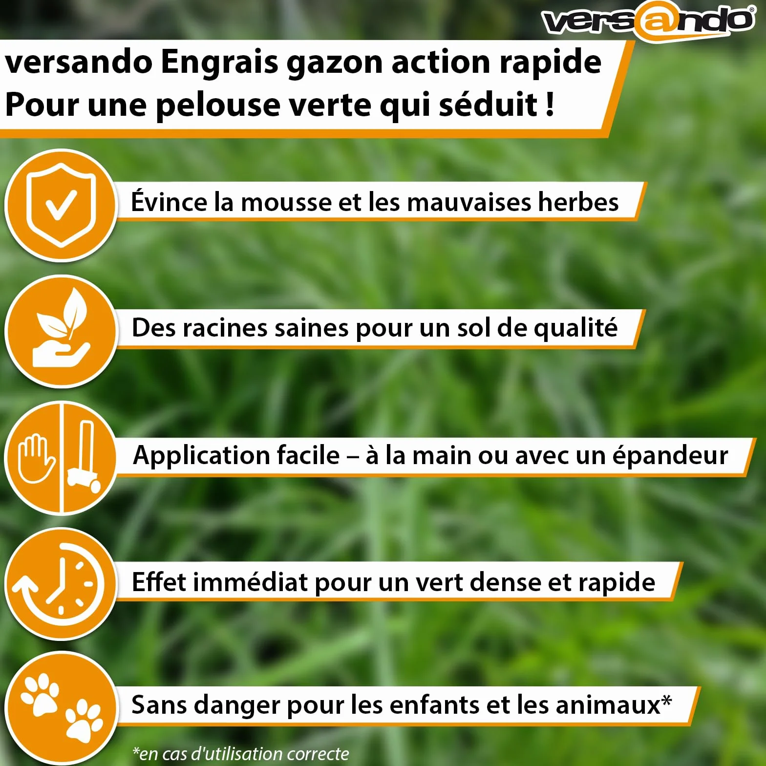 Versando Engrais Gazon Été 10kg 500m² Anti-Mousse Anti-Mauvaises Herbes