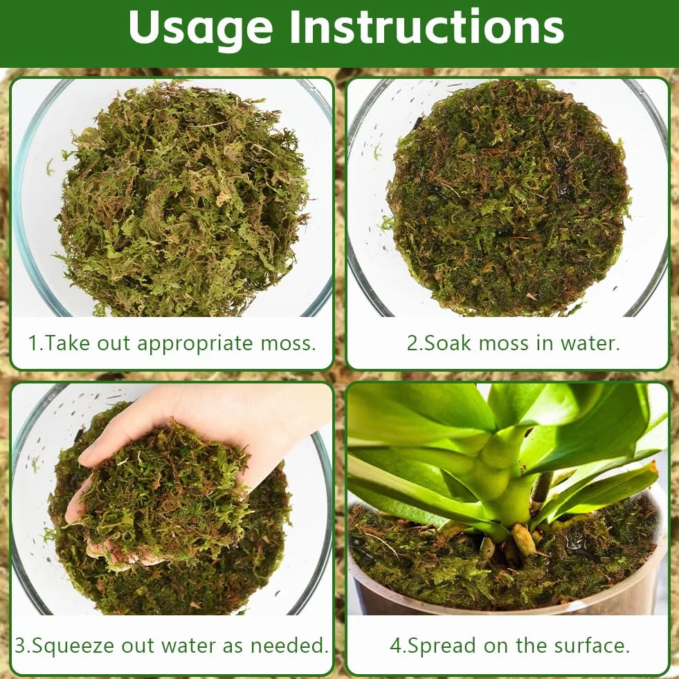 OFFCUP 500g Sphaigne pour Plante, Sphaigne Fraîche Compressée pour Orchidées Mélange Pot, Mousse Naturelle pour Reptiles, Tuteur en Sphaignes Substrat de Culture Naturel (500g)
