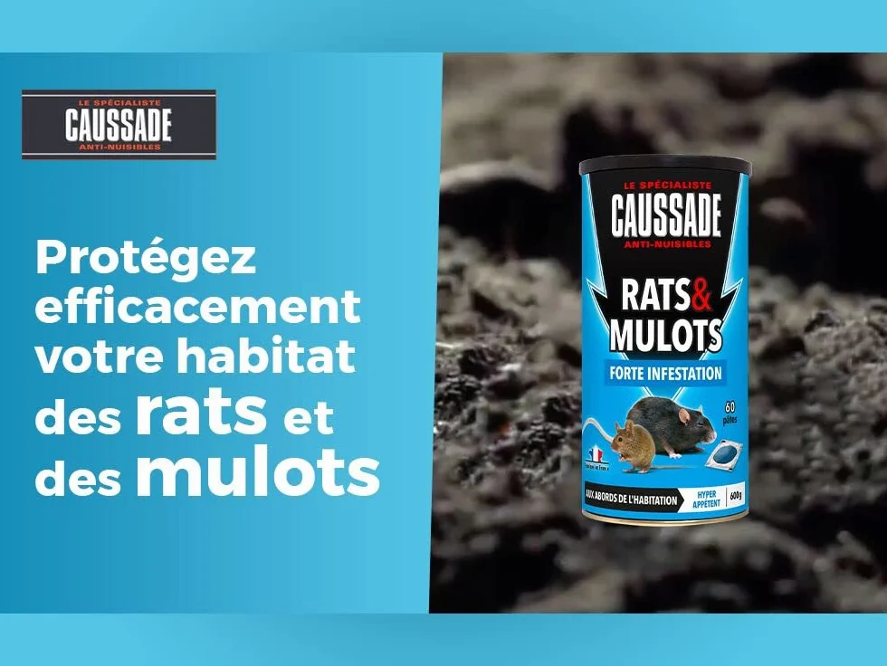 Caussade Anti Rats & Mulots - Efficacité Radicale - Lieux secs & humides - 60 sachets Pâtes - prêt à l'emploi - Une Ingestion Suffit – Fabriqué en France - 600g CARMUPT600