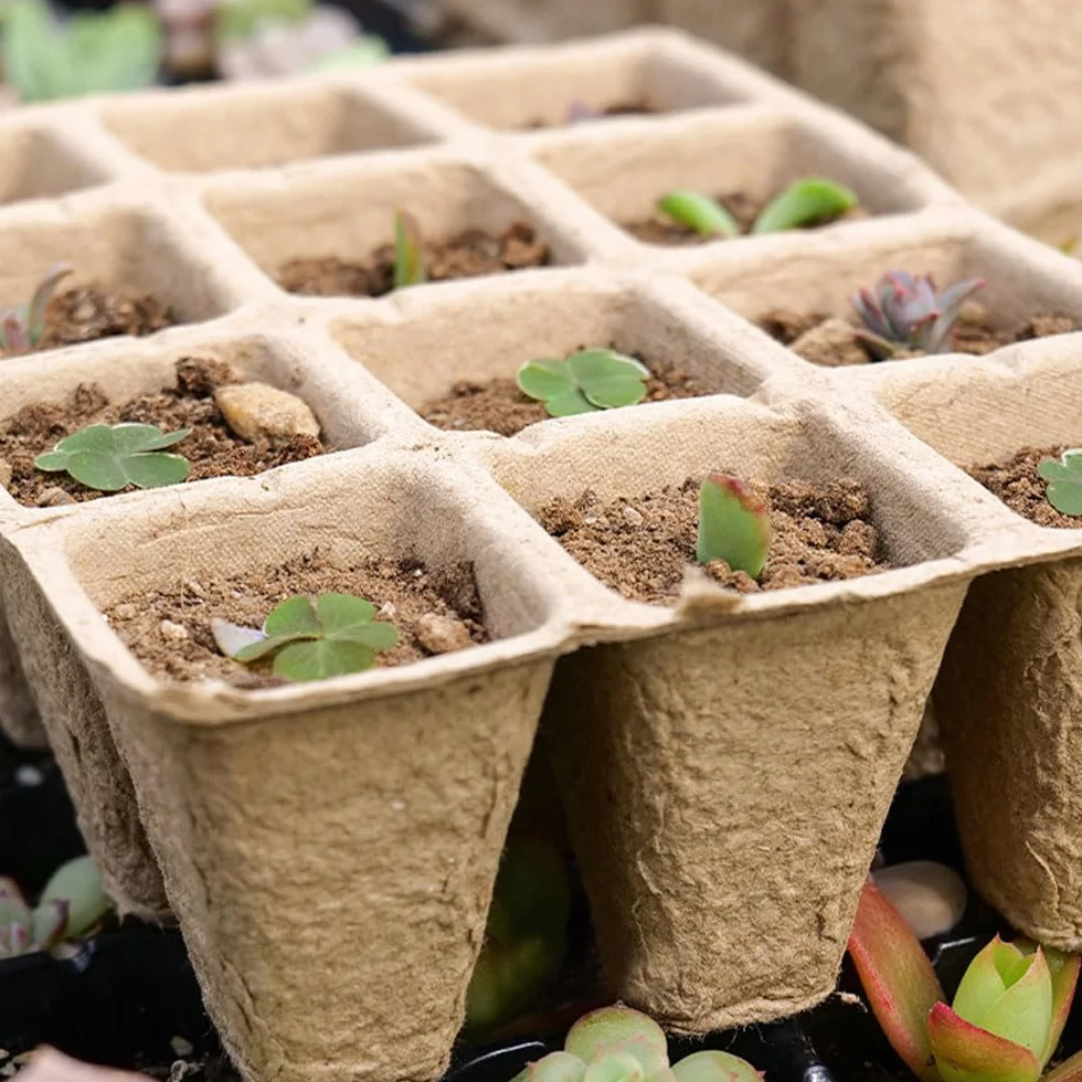 LATRAT Lot de 12 pots de culture, plateau de démarrage pour le jardin, le potager et les serres, bac à semis