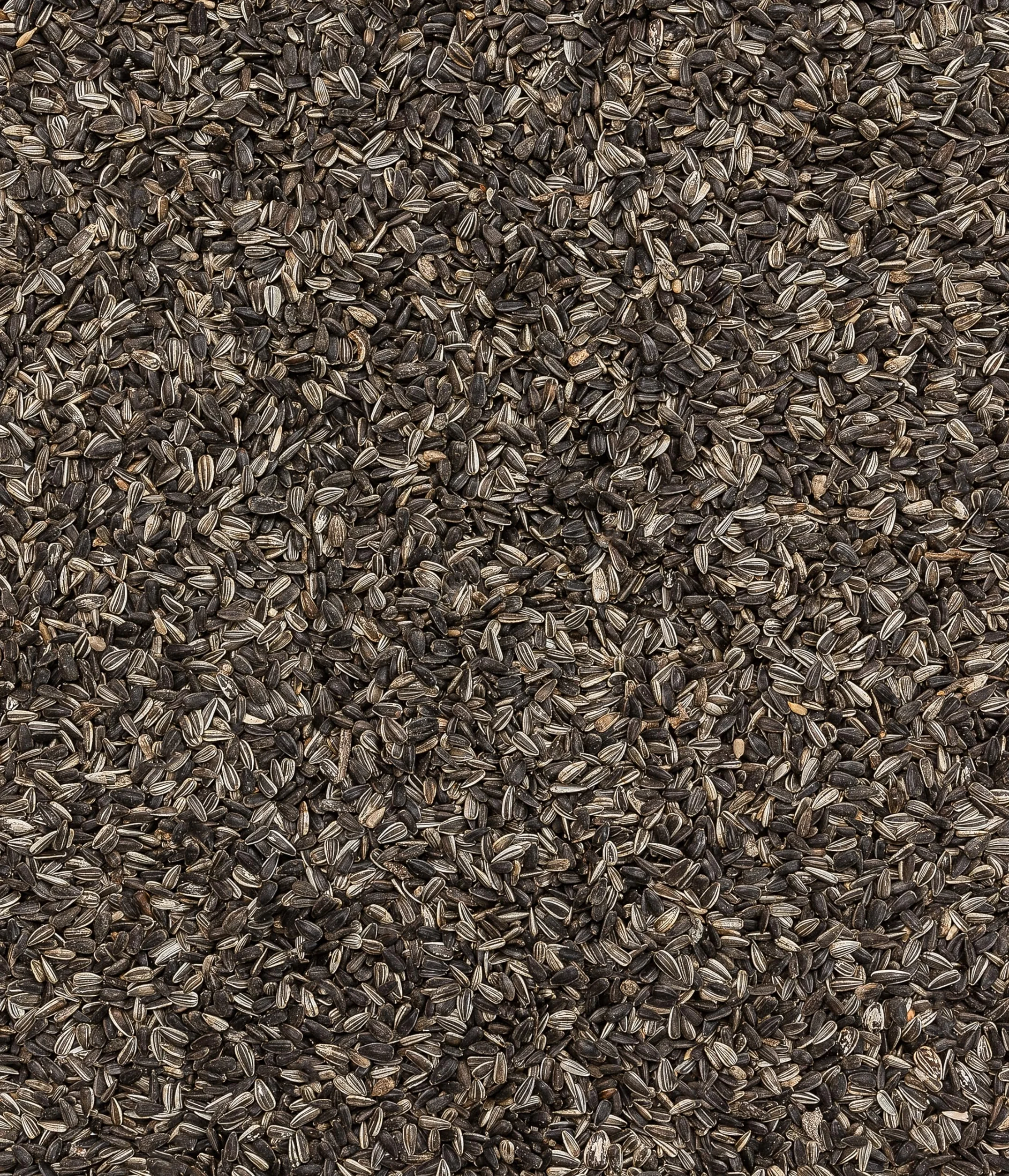 Dehner Natura Premium Nourriture pour Oiseaux Sauvages Graines de Tournesol 20 kg