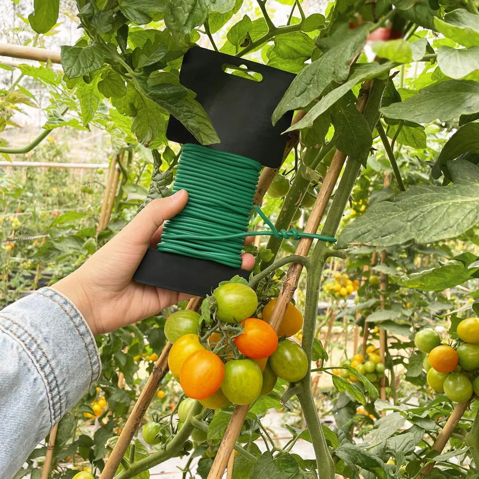 Tenn Well 3,5 mm Fil de Serrage pour Jardin, 16M Fil Torsadé pour Attache Tomate, Plantes Grimpantes, Vignes, Arbustes et Fleurs (Vert)