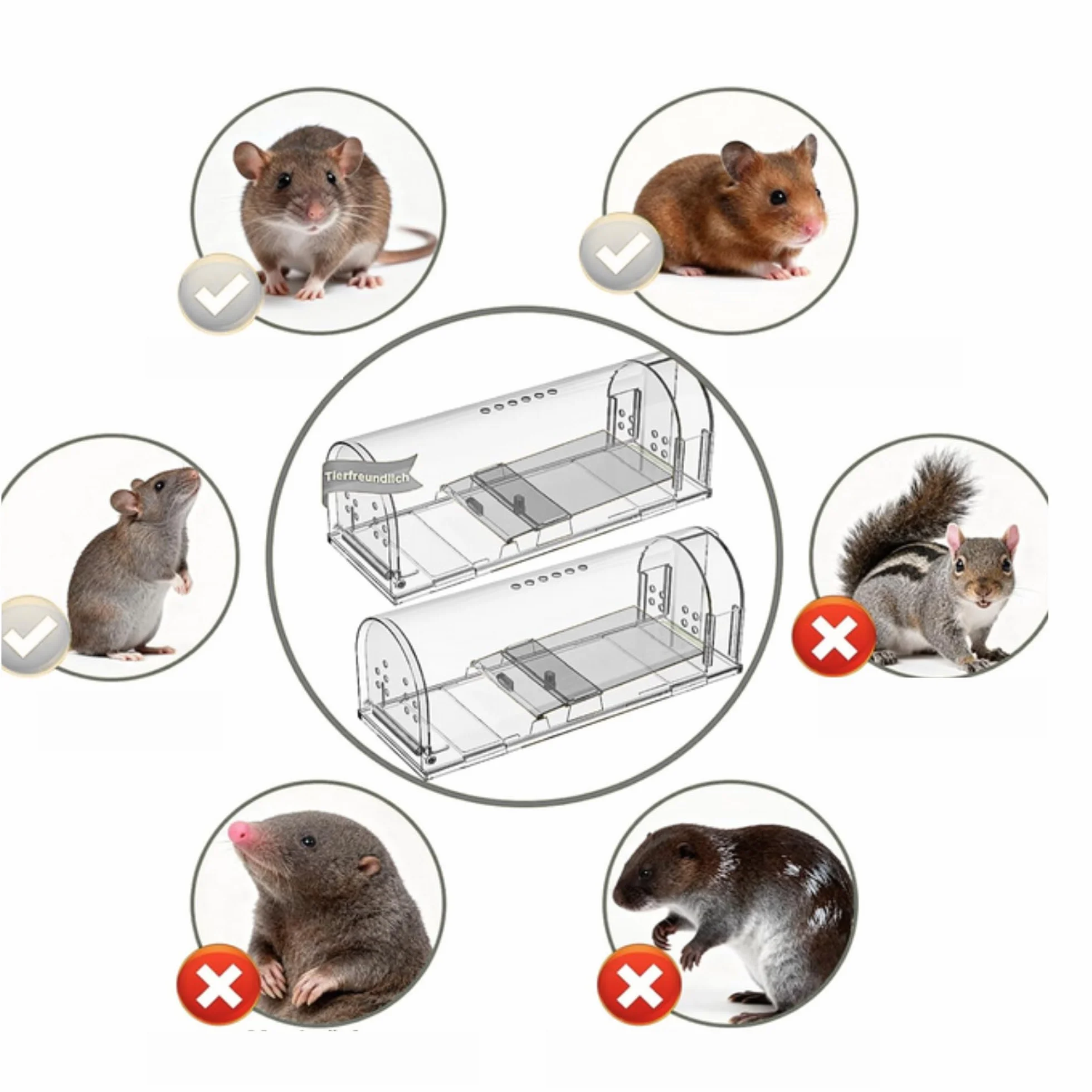Piège à Souris vivantes Lot de 2 - boîte d'appât avec trous de ventilation et porte de sortie - Usage Intérieur et Extérieur Réutilisable