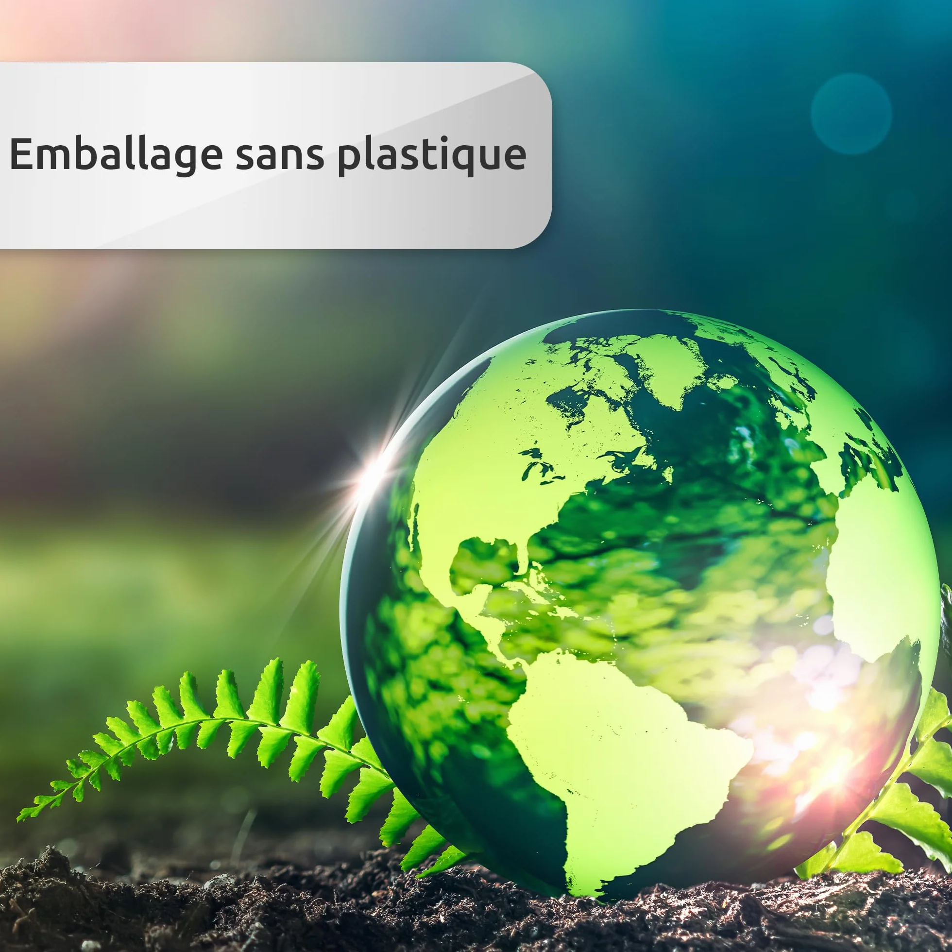 ECENCE Ruban Magnétique Autoadhésif Bande Adhesive pour Moustiquaires 3m