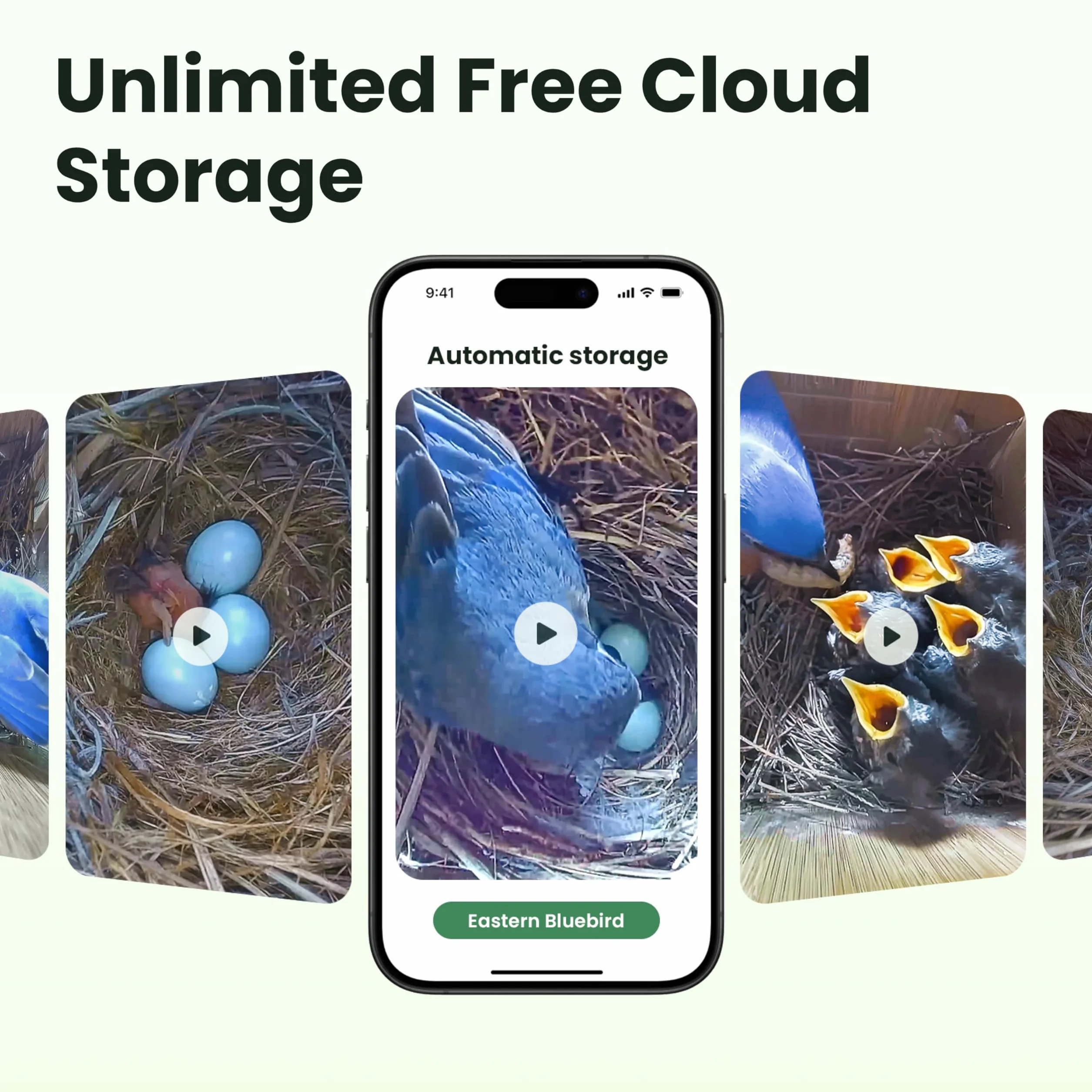 Birdfy Nichoir à oiseaux avec caméra 2 mégapixels, observation en temps réel