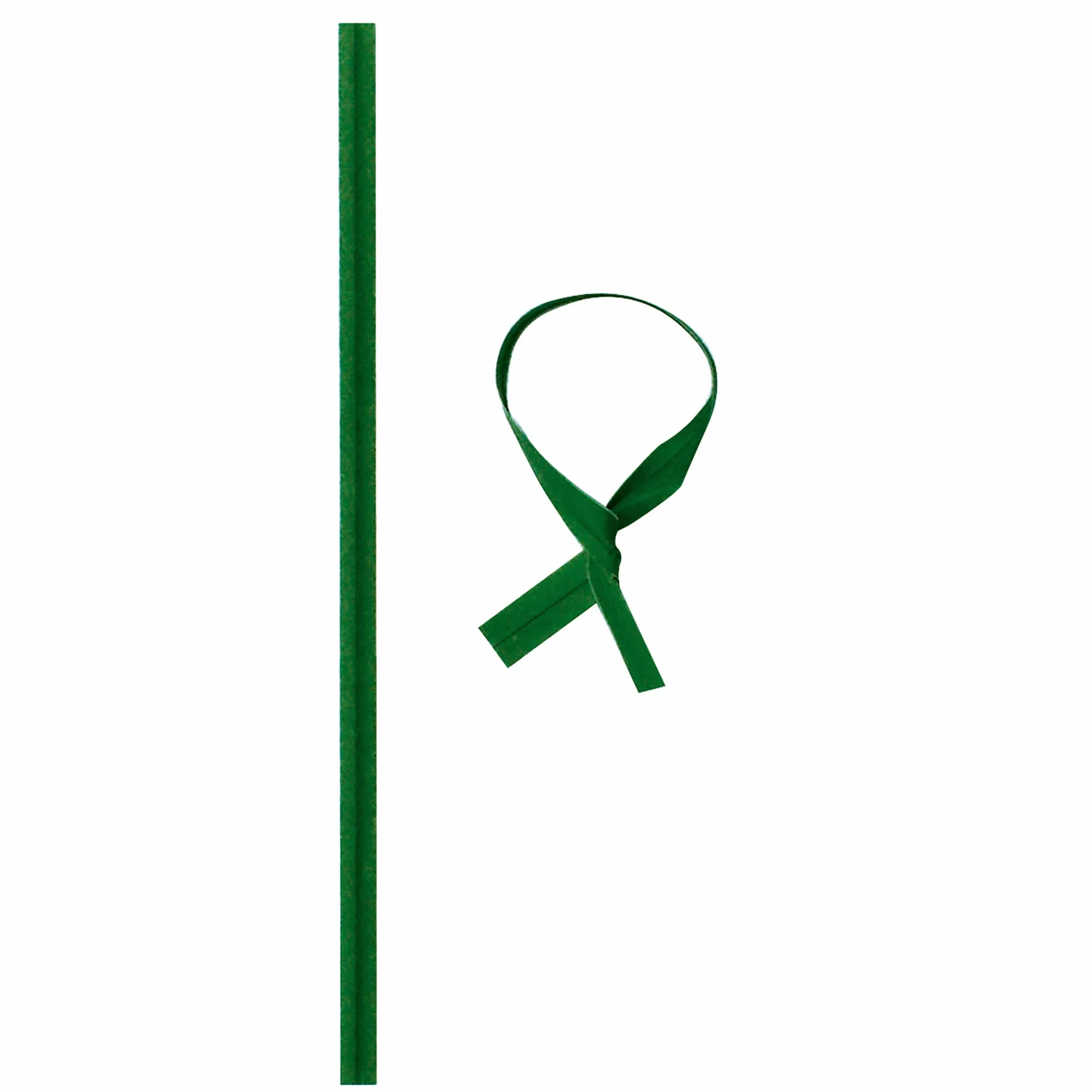 TENAX Liens en Plastique Armés et Prédécoupés, 20 cm, Couleur Verte, Paquet de 1000 pièces, Fil en Acier Recouvert de PVC pour Ligatures, Plantes et Fleurs, Fermetures de Sacs et Paquets