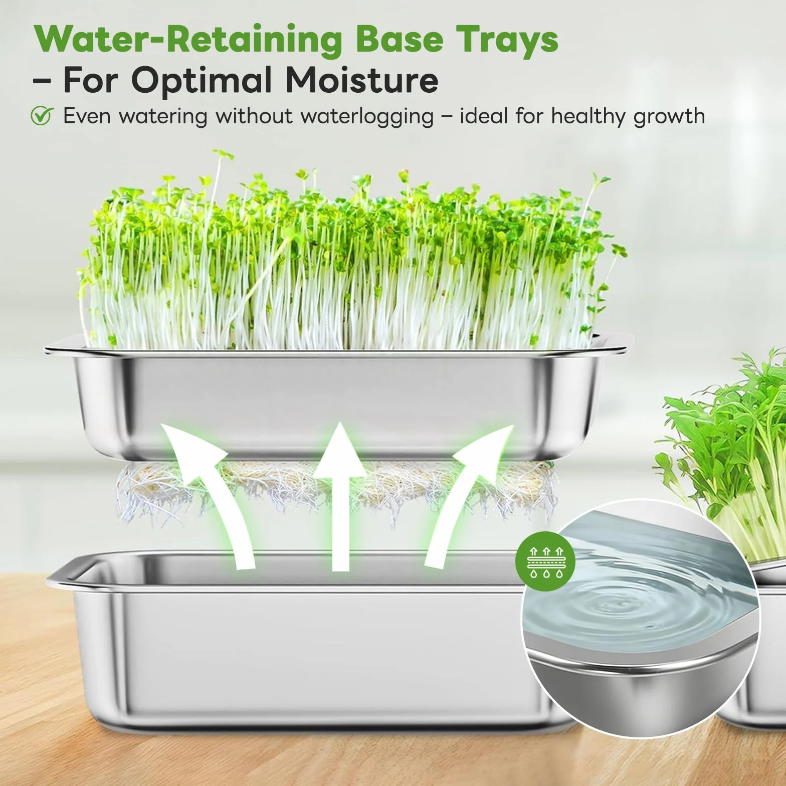 Germoir pour Graines à Germer Acier Inoxydable 26 x 19 cm Réutilisable Kit Germination Professionnel