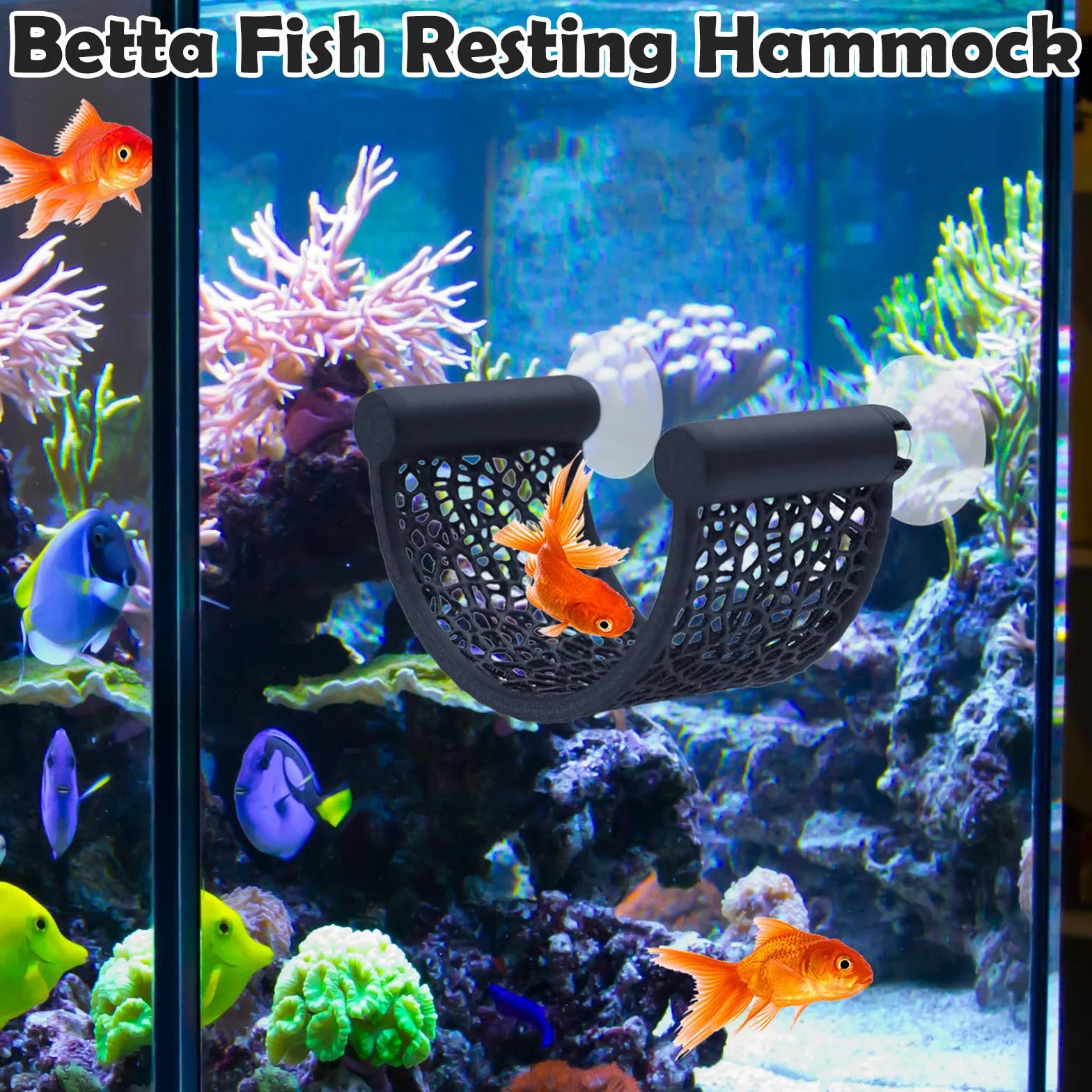 Lot de 1 hamacs pour Betta – Reposoir Flottant en Forme de U avec Ventouse – Décoration d'aquarium pour Petits bacs – Accessoires pour Aquariums de Table (Betta, crevettes) – Noir