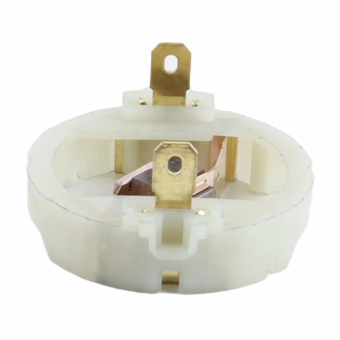 Balais De Charbon Pour Perceuse Meuleuse Ponceuse Parkside PWSA 20 Li