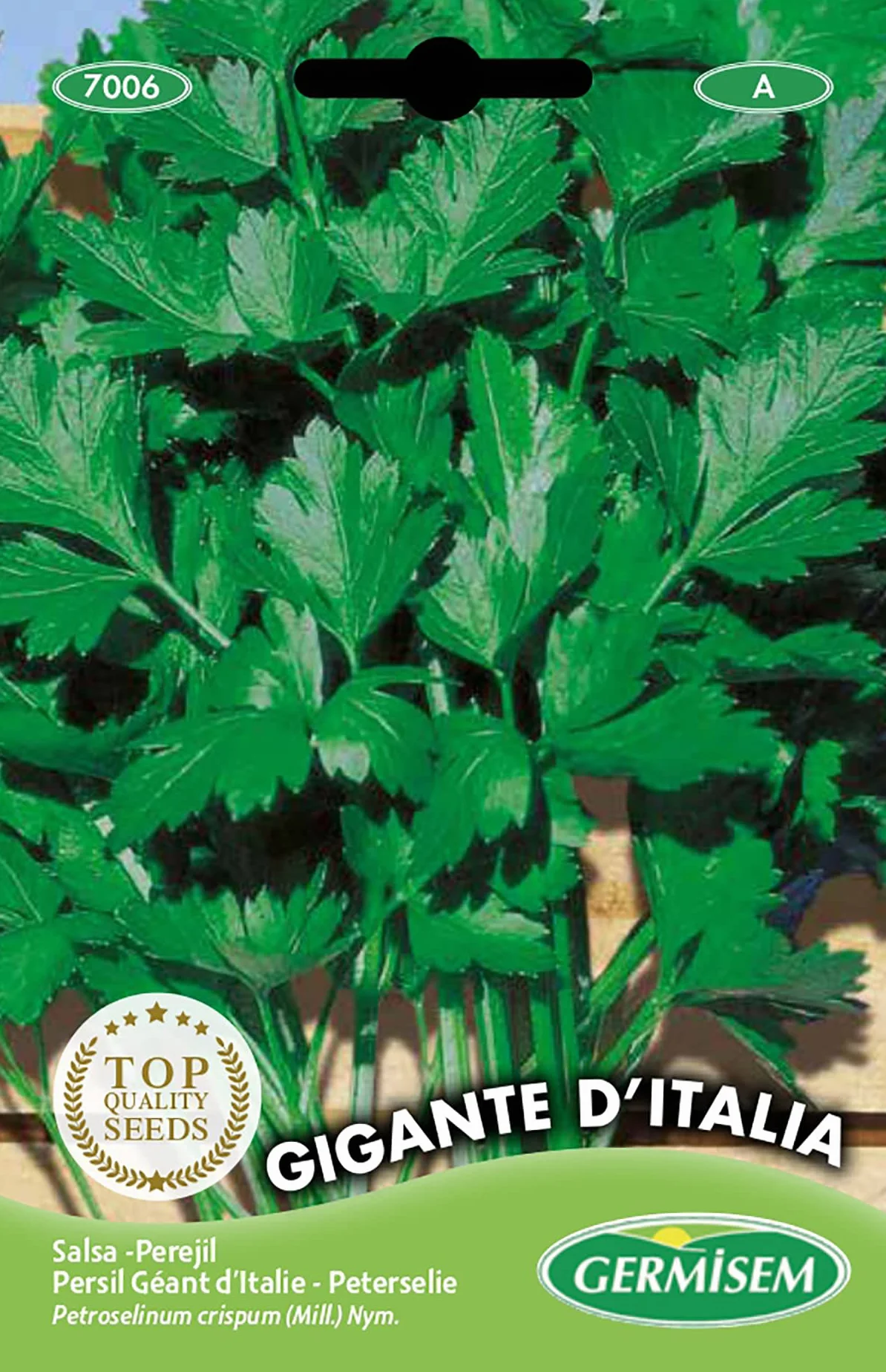 Germisem graines Persil Géant d'Italie