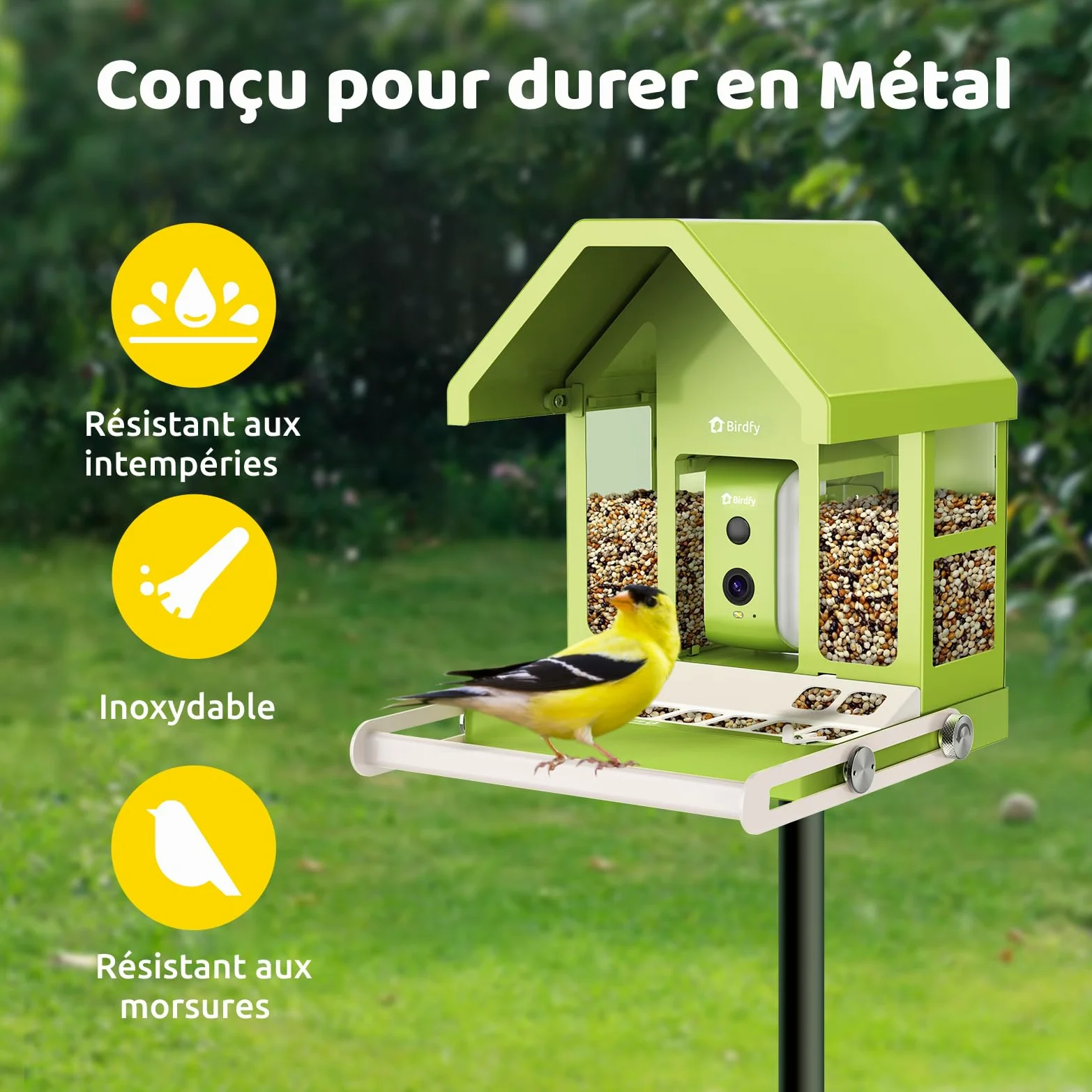 Birdfy Métal Mangeoire Oiseaux Camera pour L’Observation direct, 1080P Solaire Mangeoire Oiseaux Exterieur sans Fil, Vision Nocturne en Couleur, Notification Instantanée, Enregistrement à Chaque Visit