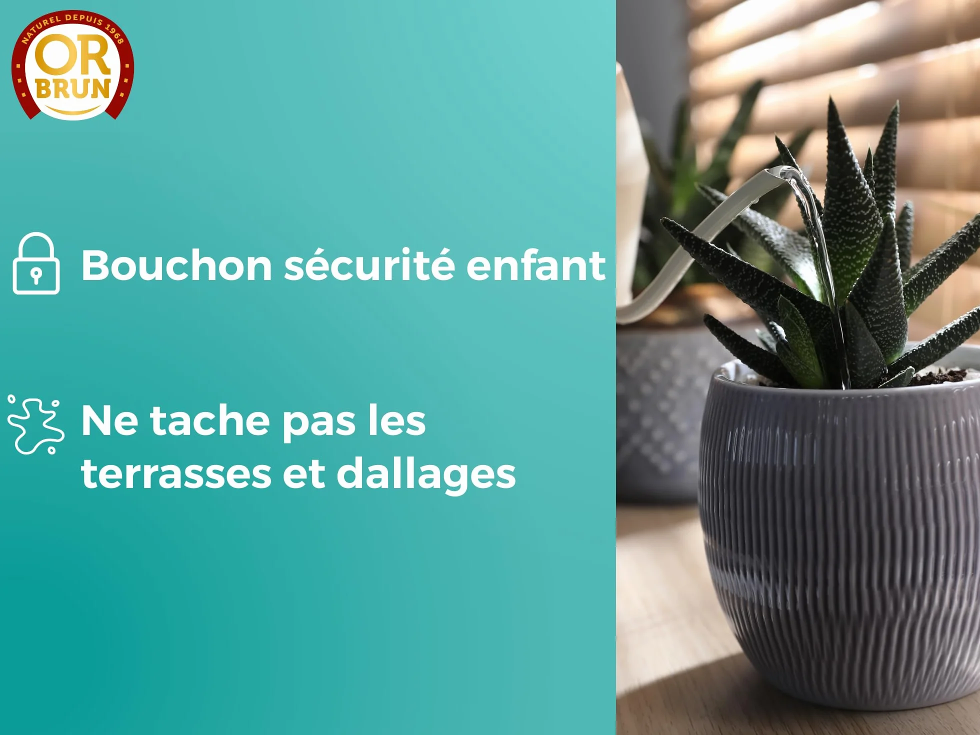 OR BRUN Engrais Cactus & Plantes Grasses - 250ml - Enrichit Les Plantes - Fabriqué En France - Utilisable En Agriculture Biologique OBRECLCACTUS250