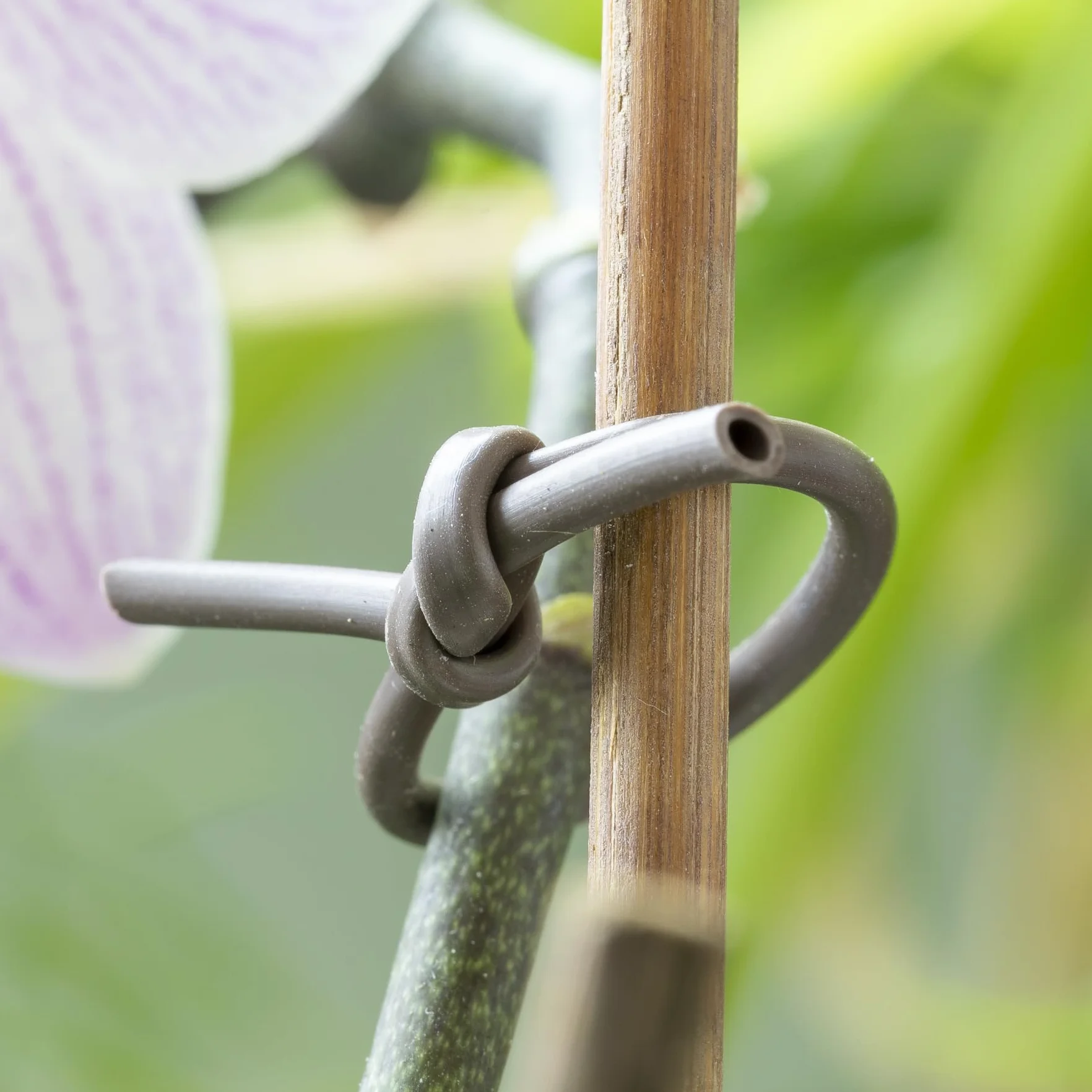 Flandria Lien Souple Tube Creux 3 mm x 45 mètres - Flexible, Suit la Croissance des Plantes